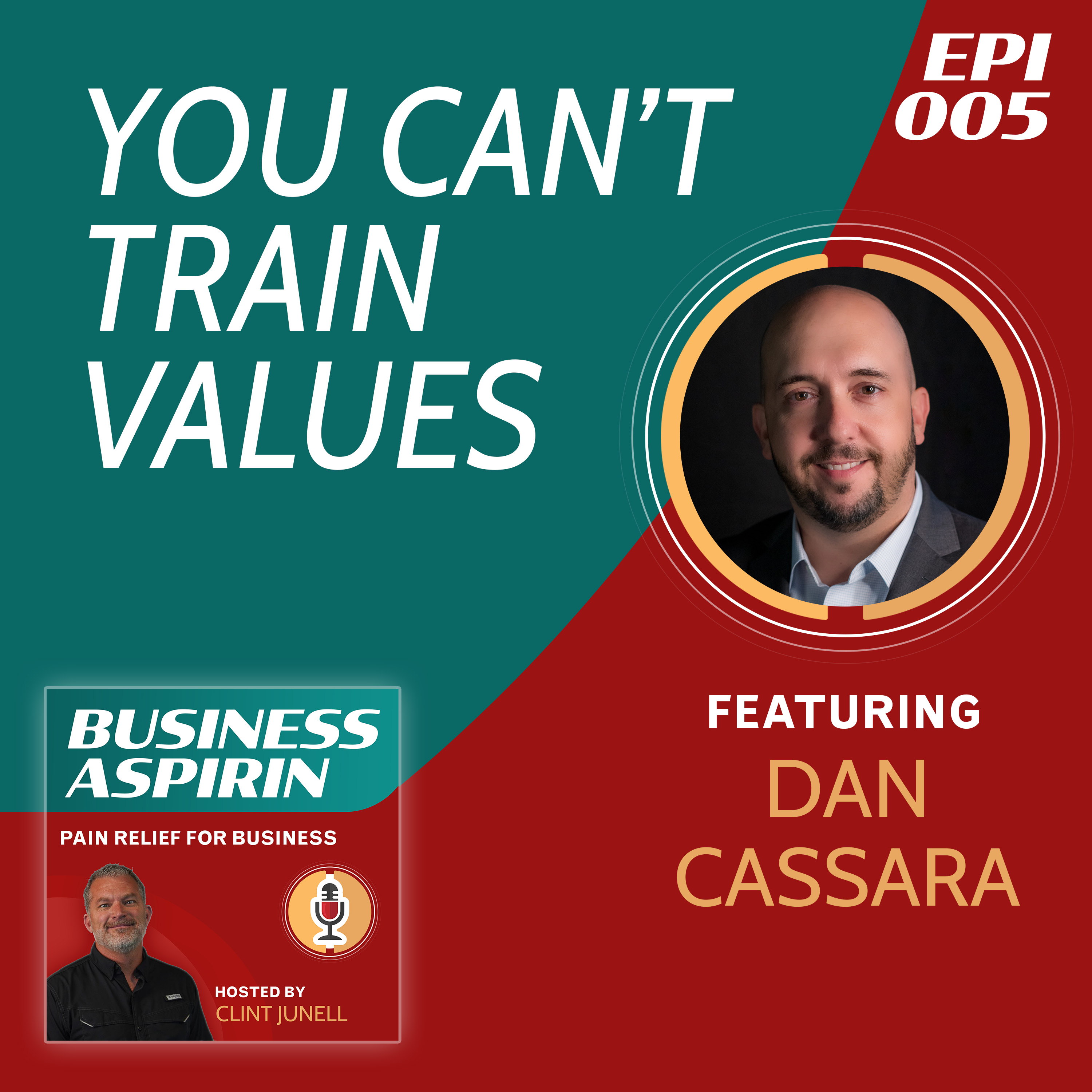 Business Aspirin:  Pain Relief for Business