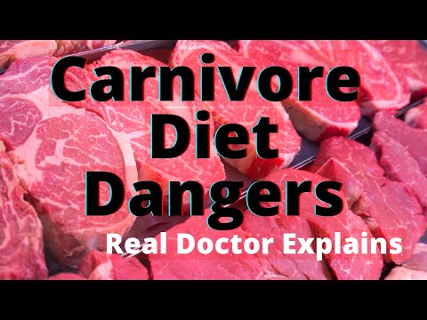 7 True Dangers of the Carnivore Diet?? (Doctor Explains) 2026