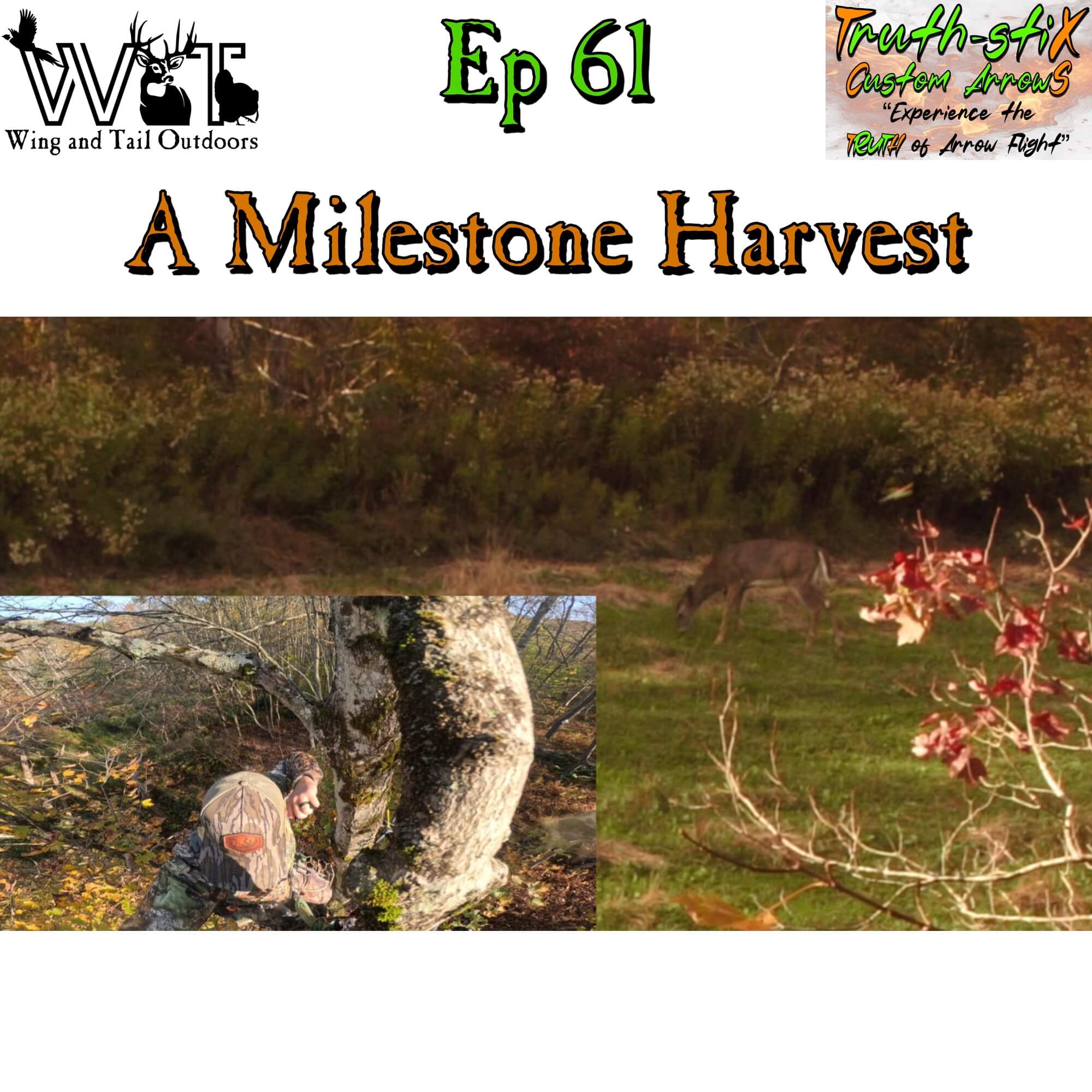 Wing & Tail Outdoors - A Milestone Harvest