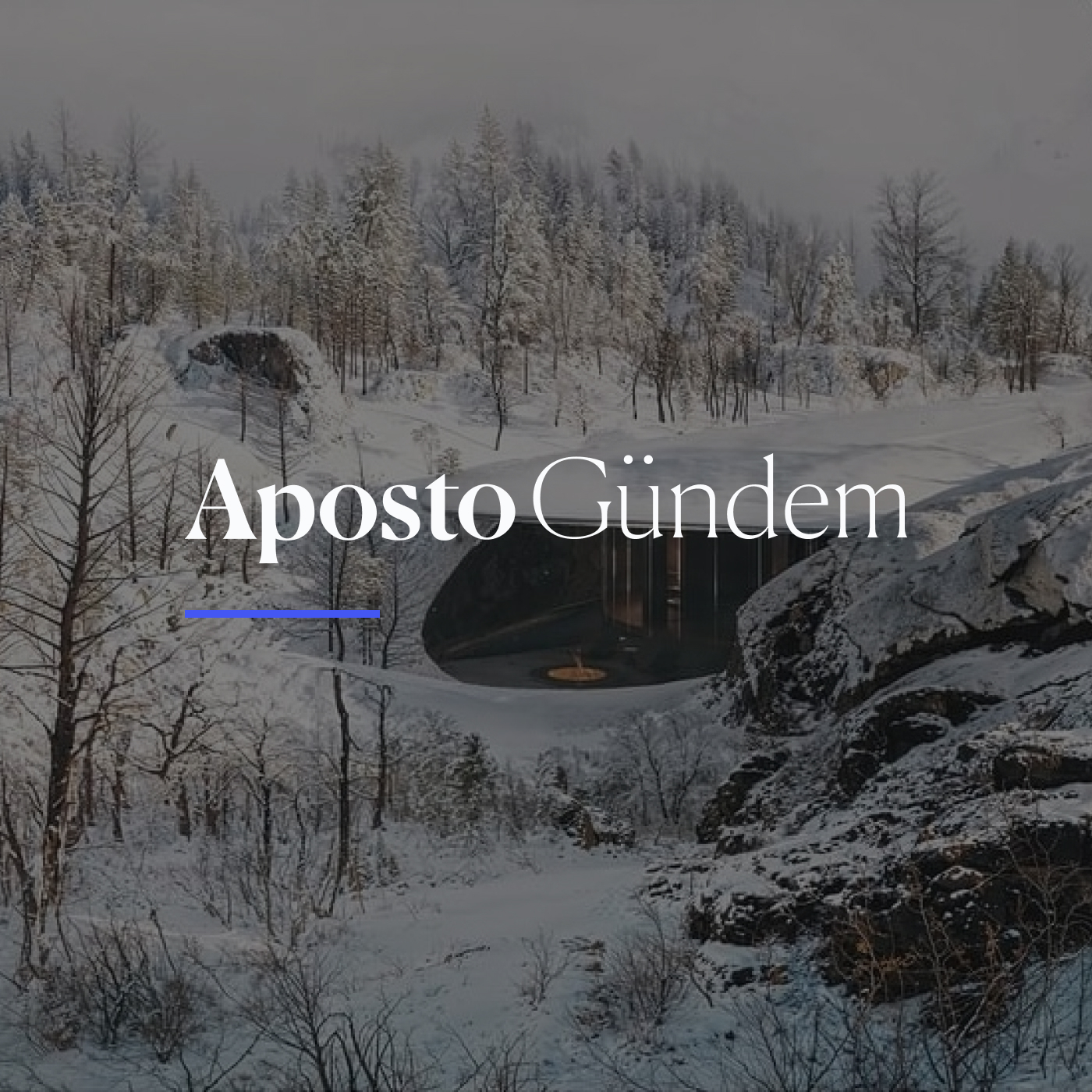 Yıl sonu enflasyonu, Narin itirazı | 4 Ocak 2024