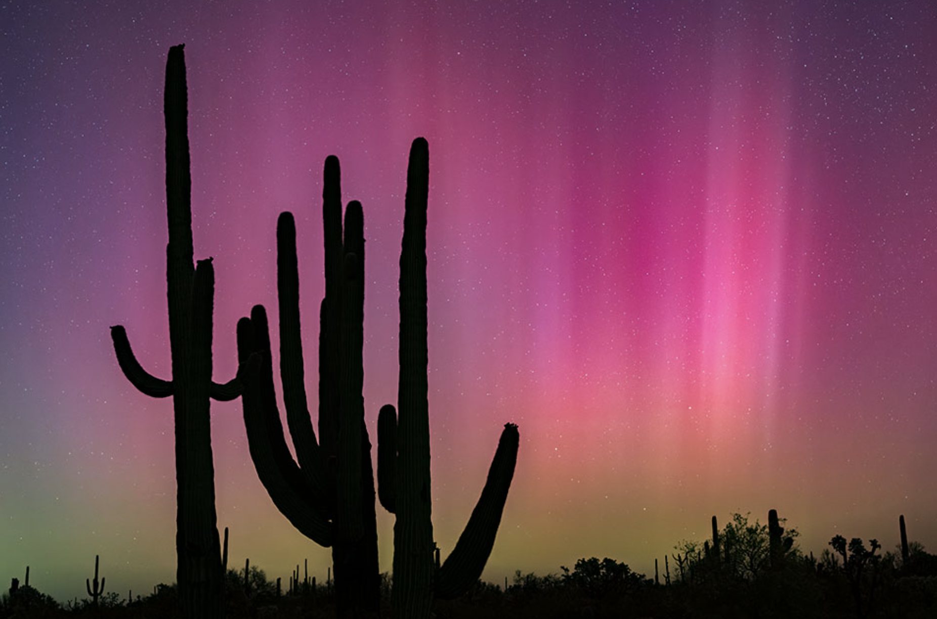 Pulitzer Prize Winner Jack Dykinga