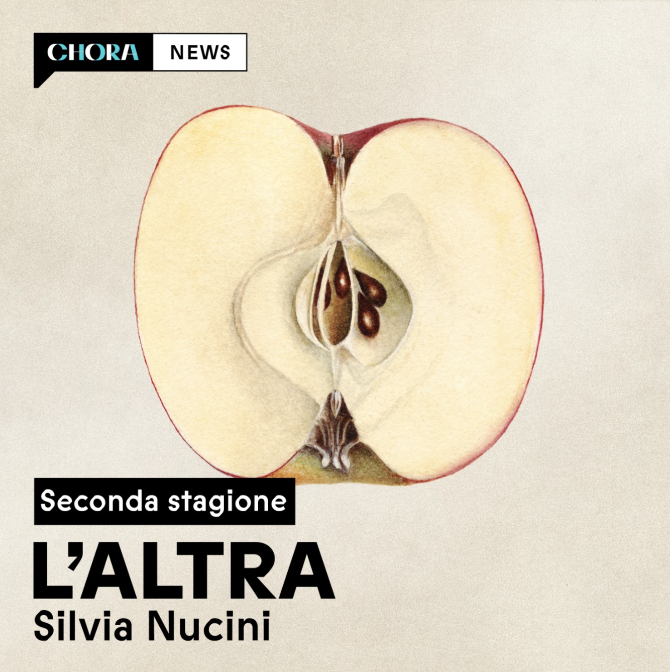 L'Altra - Stagione 2: I maschi di Francesco Piccolo