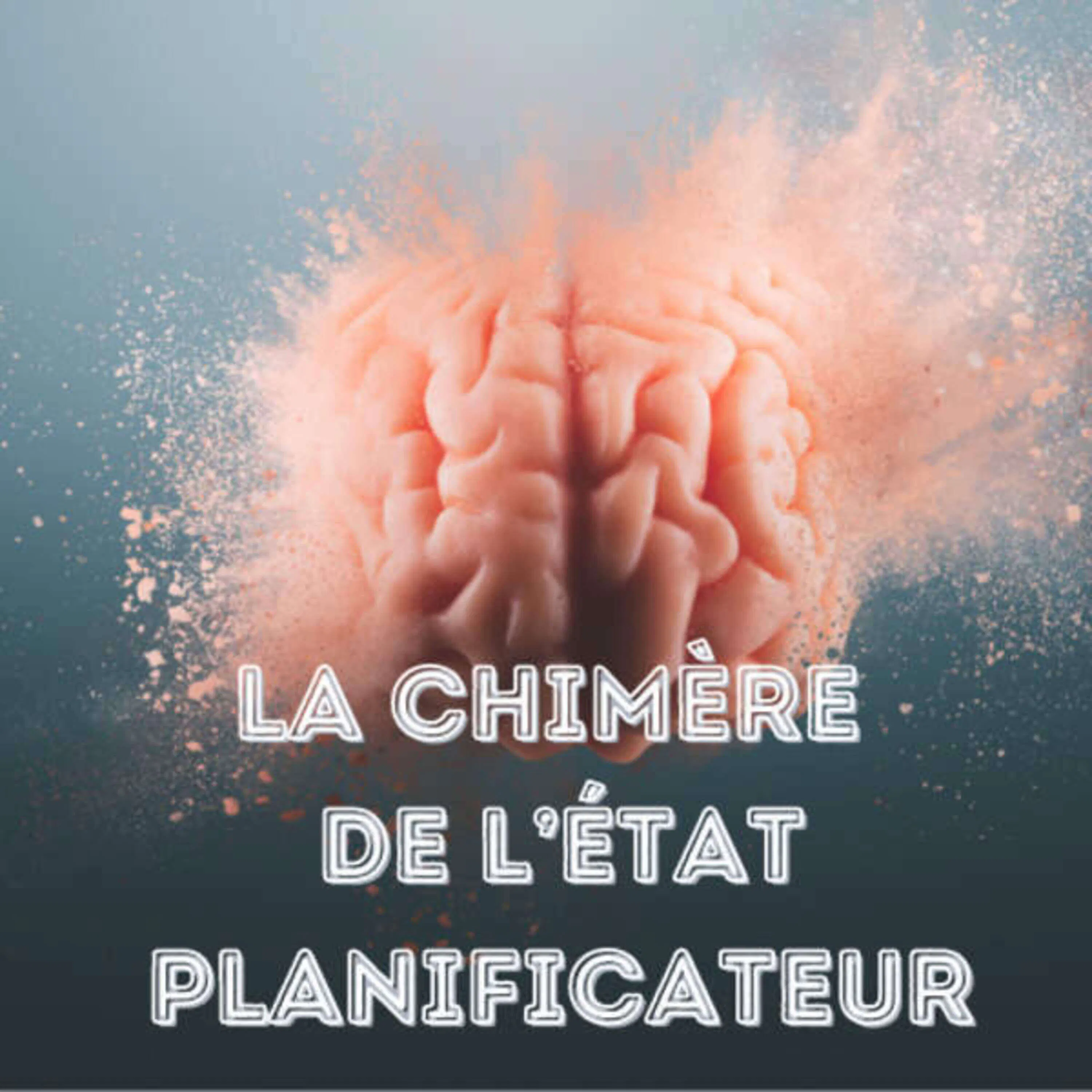 La chimère de l'État planificateur !