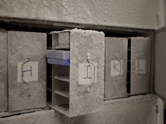 Nueva bóveda del fin del mundo para preservar el microbioma humano