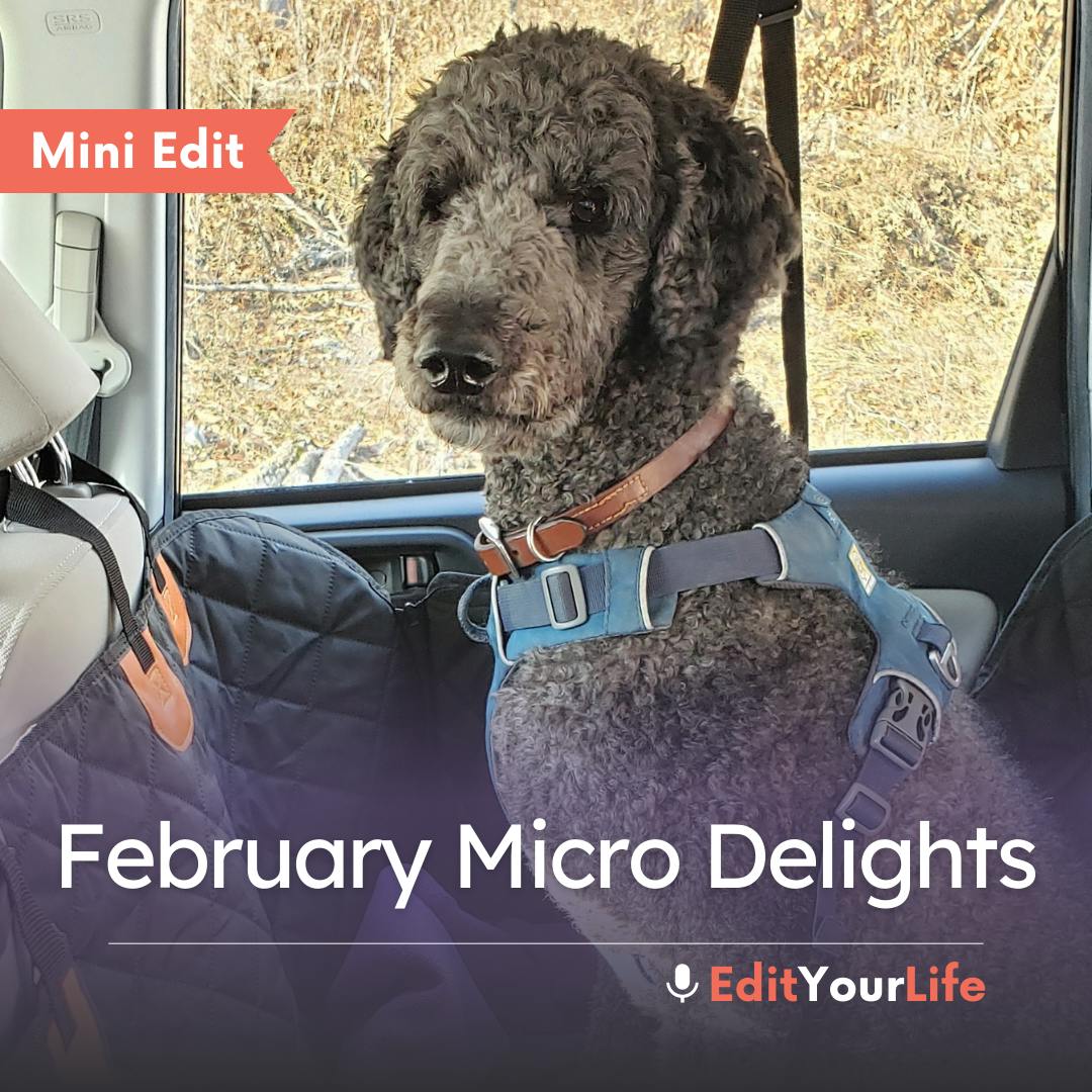 Mini Edit: February Micro Delights