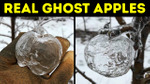 If You See a Ghost Apple, This Is What It Means