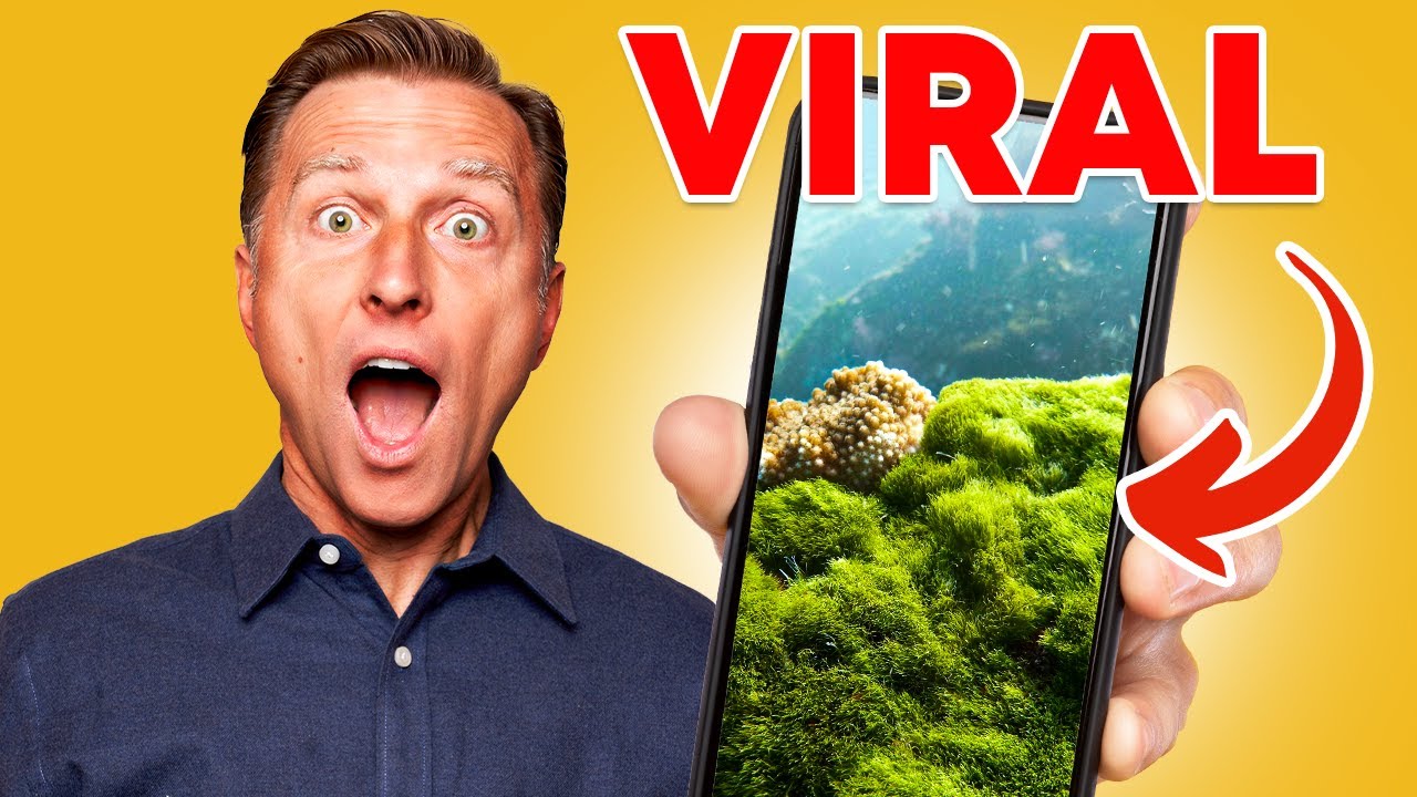 Why Sea Moss Is Going VIRAL! episode artwork