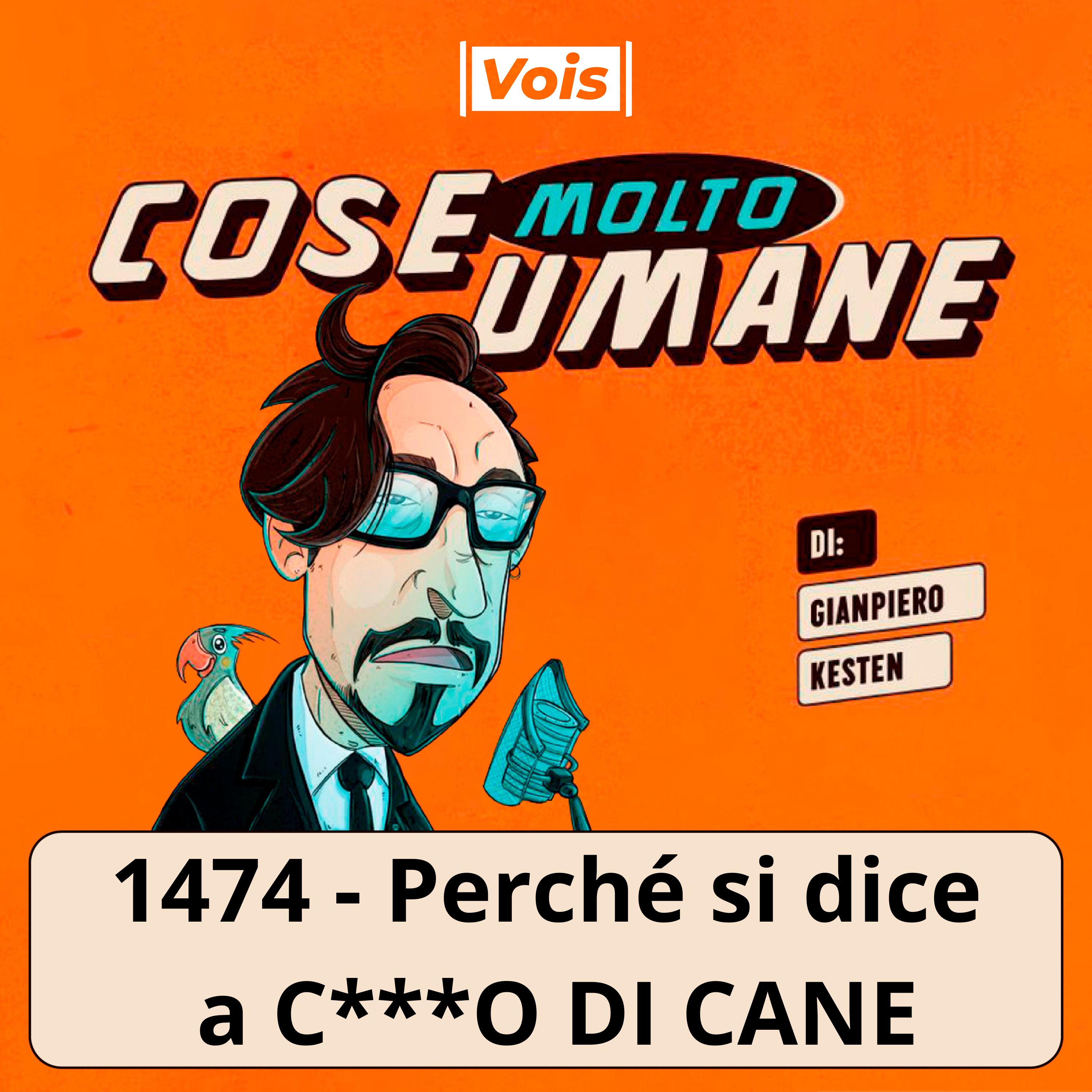 1474 - Perché si dice a C***O DI CANE