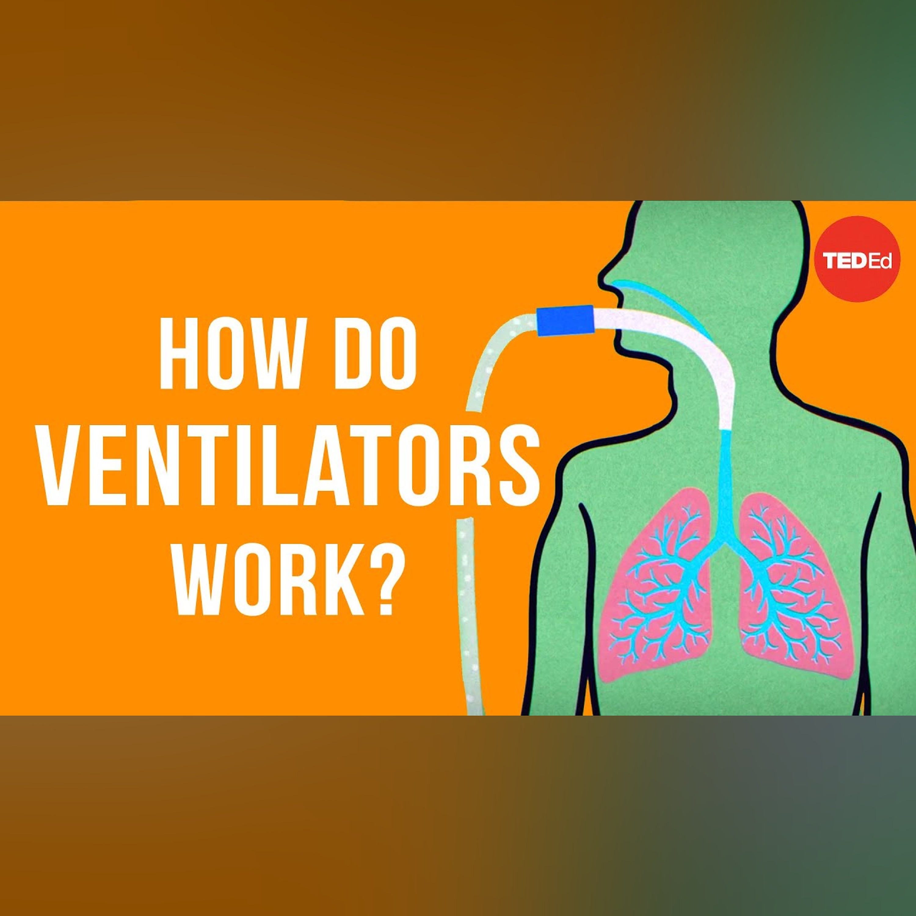 How do ventilators work? - Alex Gendler episode artwork