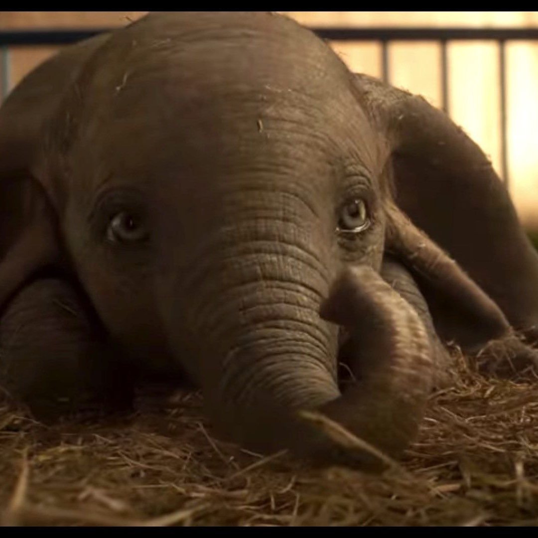 Thoughts on Dumbo and Producer Matt's 6 Year old Appetite episode artwork
