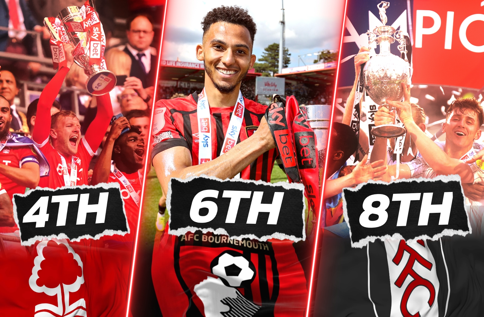 Back Of The Net - The AFC Bournemouth Podcast