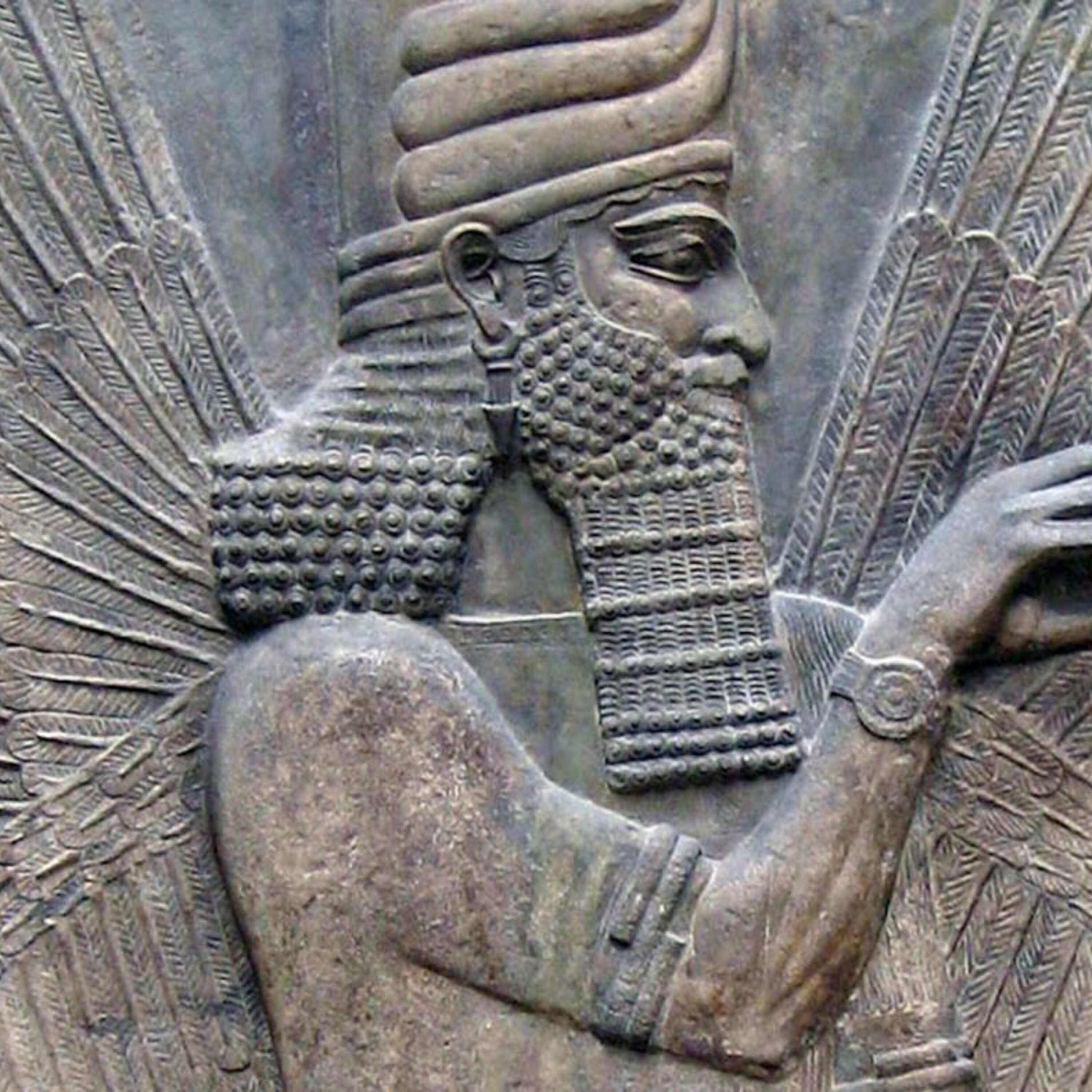 Podcast: Babylonian astronomers, doubly domesticated cats, and outrunning a T. Rex