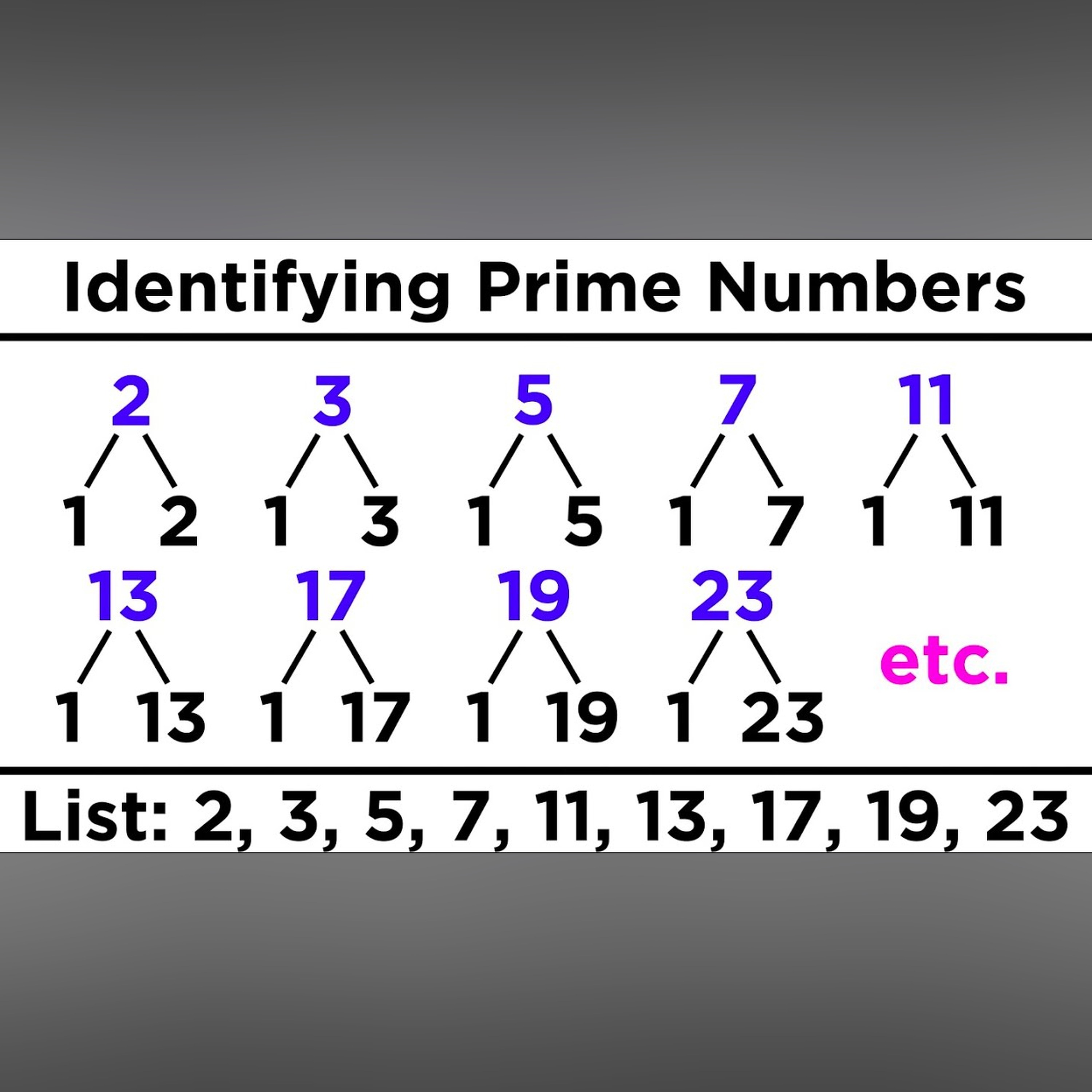 Divisibility, Prime Numbers, and Prime Factorization