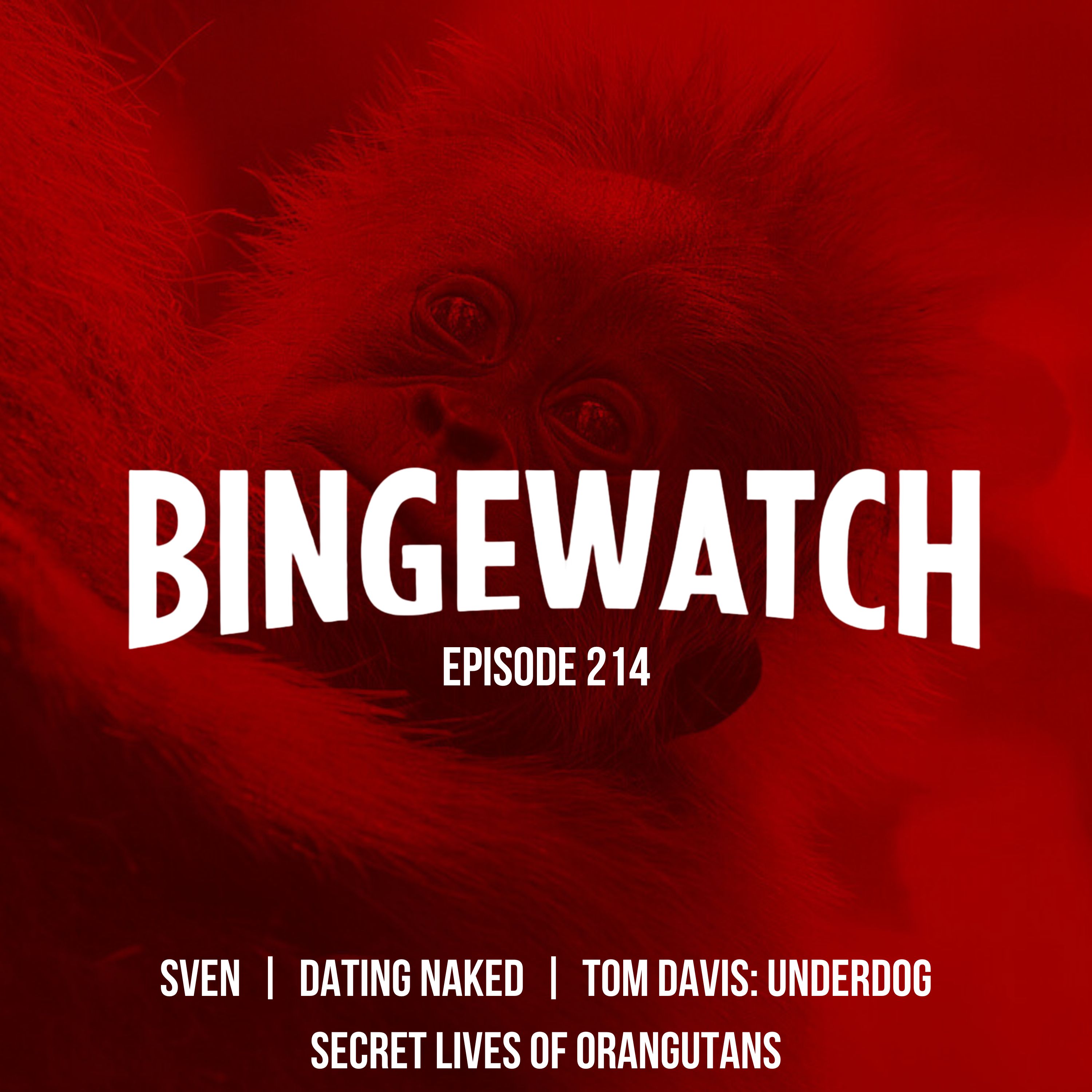 Sven  |  Dating Naked UK  |  Secret Lives of Orangutans  |  Tom Davis: Underdog episode artwork