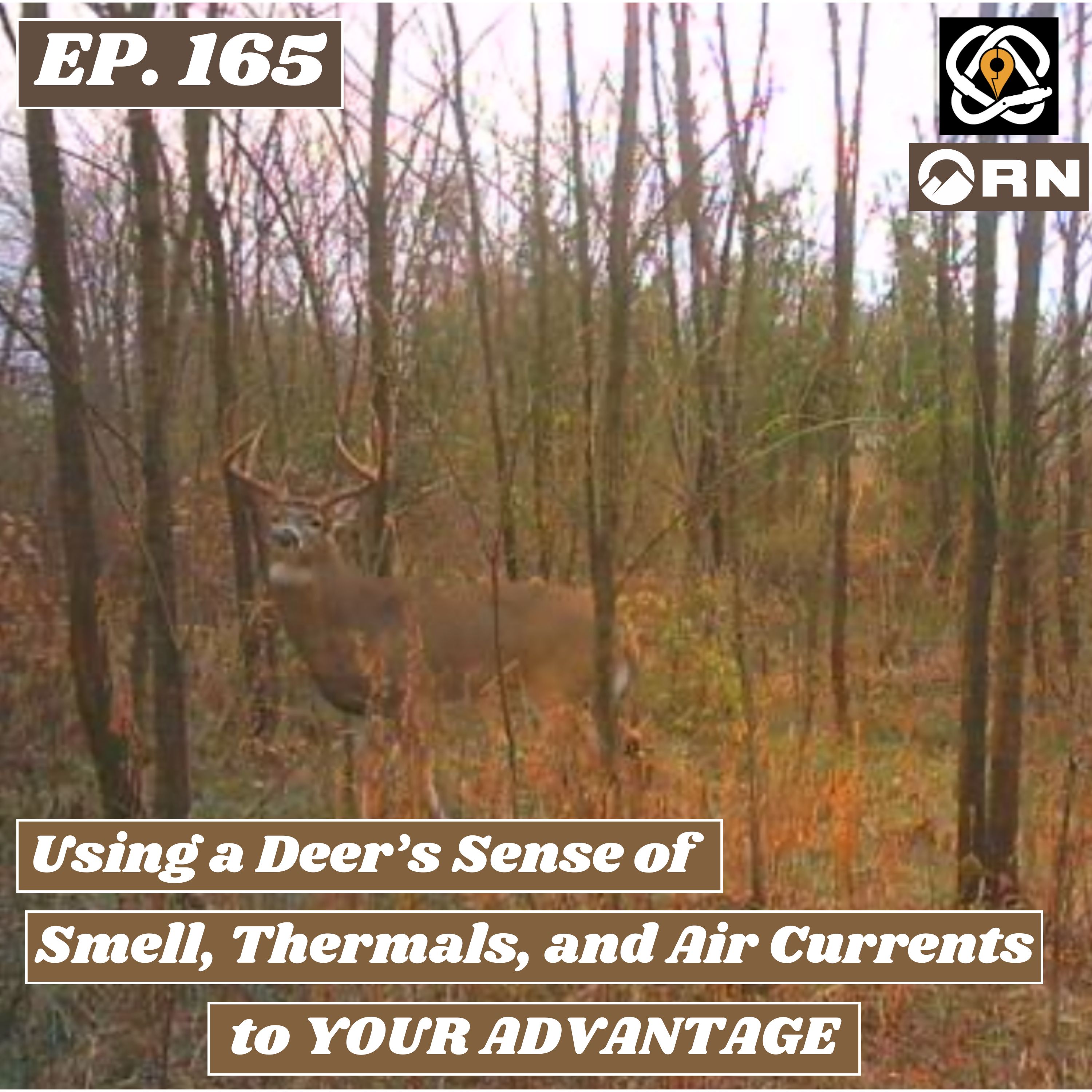 Using a Deer's Sense of Smell, Thermals, and Air Currents to YOUR ADVANTAGE episode artwork