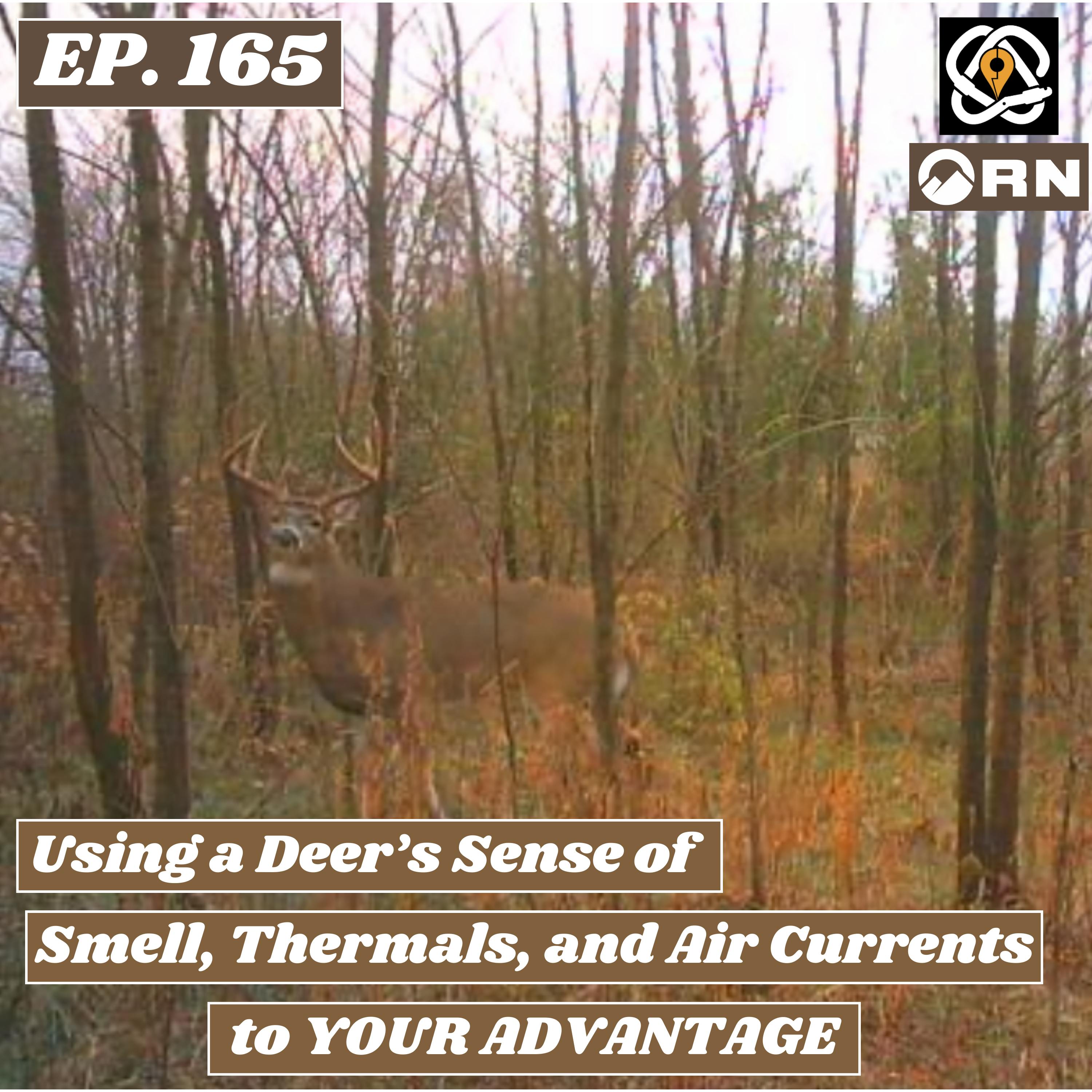 Using a Deer's Sense of Smell, Thermals, and Air Currents to YOUR ADVANTAGE