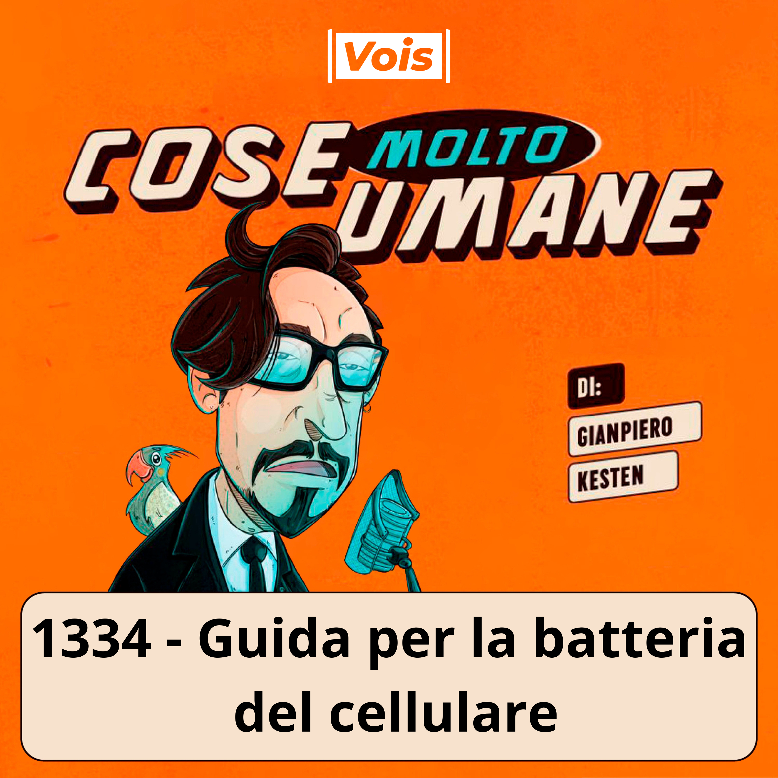 1334 - Guida per la batteria del cellulare