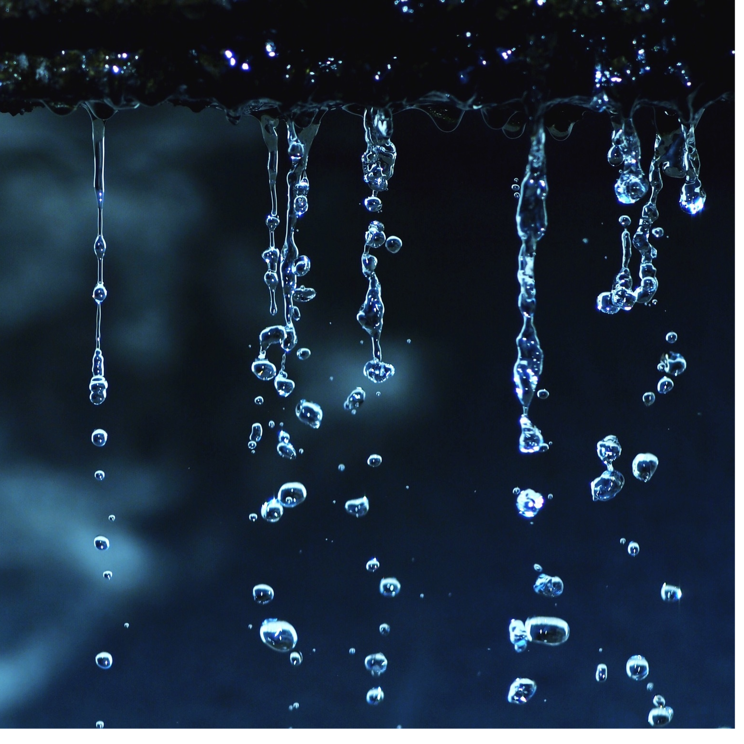 Sound Escape 35: cheerful sparrows singing through a rainstorm