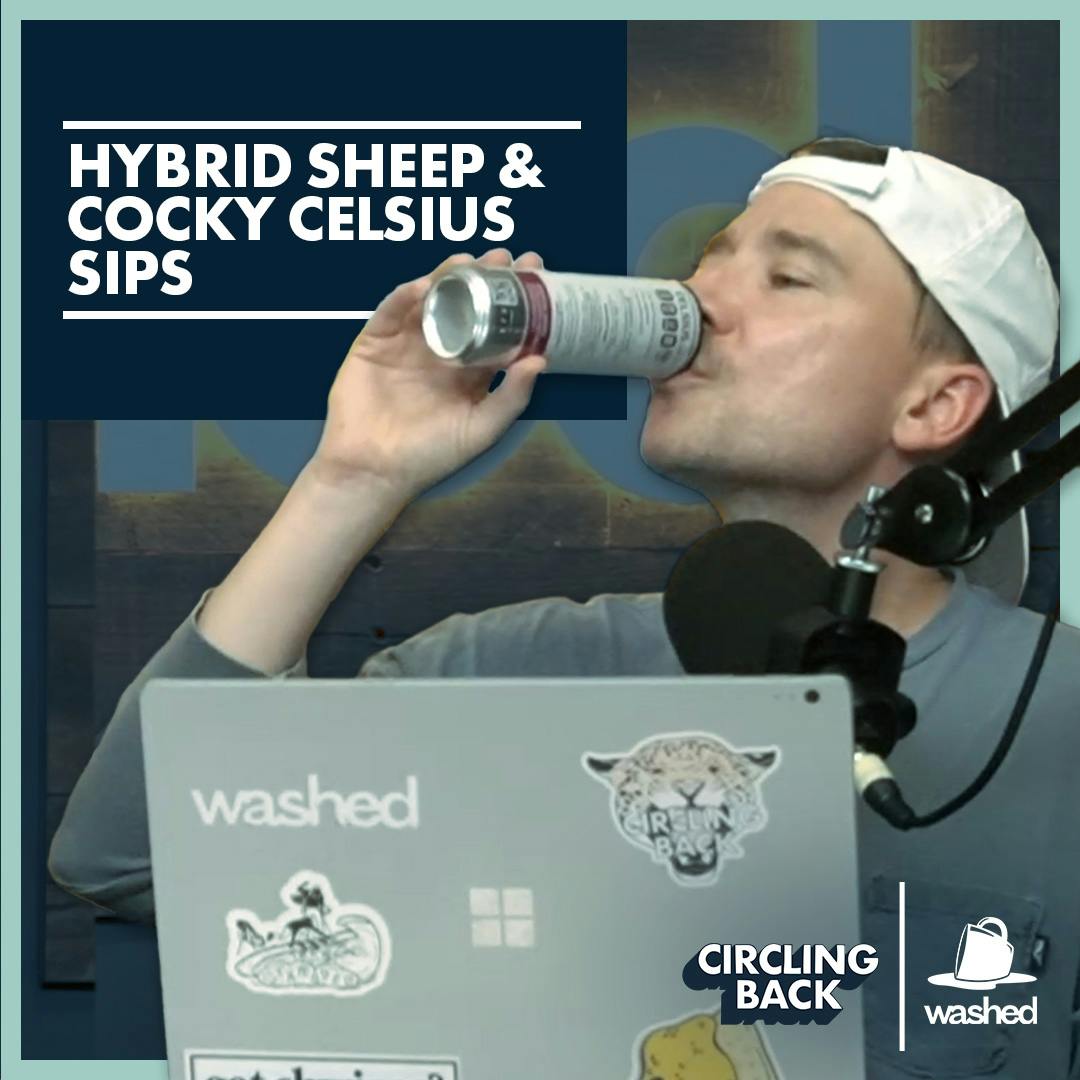 Hybrid Sheep & Cocky Celsius Sips