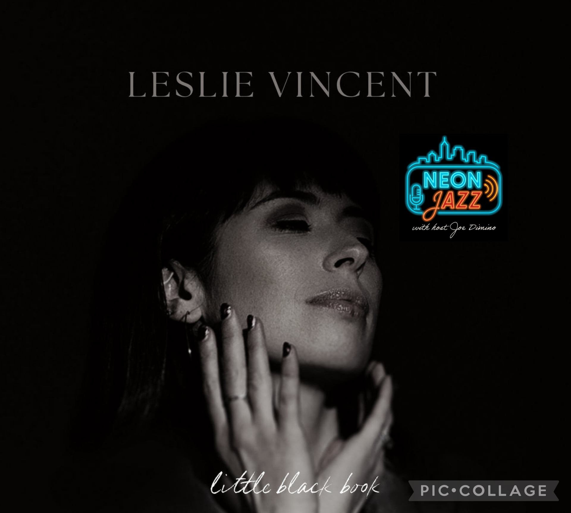Minneapolis Jazz Singer Leslie Vincent Talks Little Black Book (2026) & Her Career