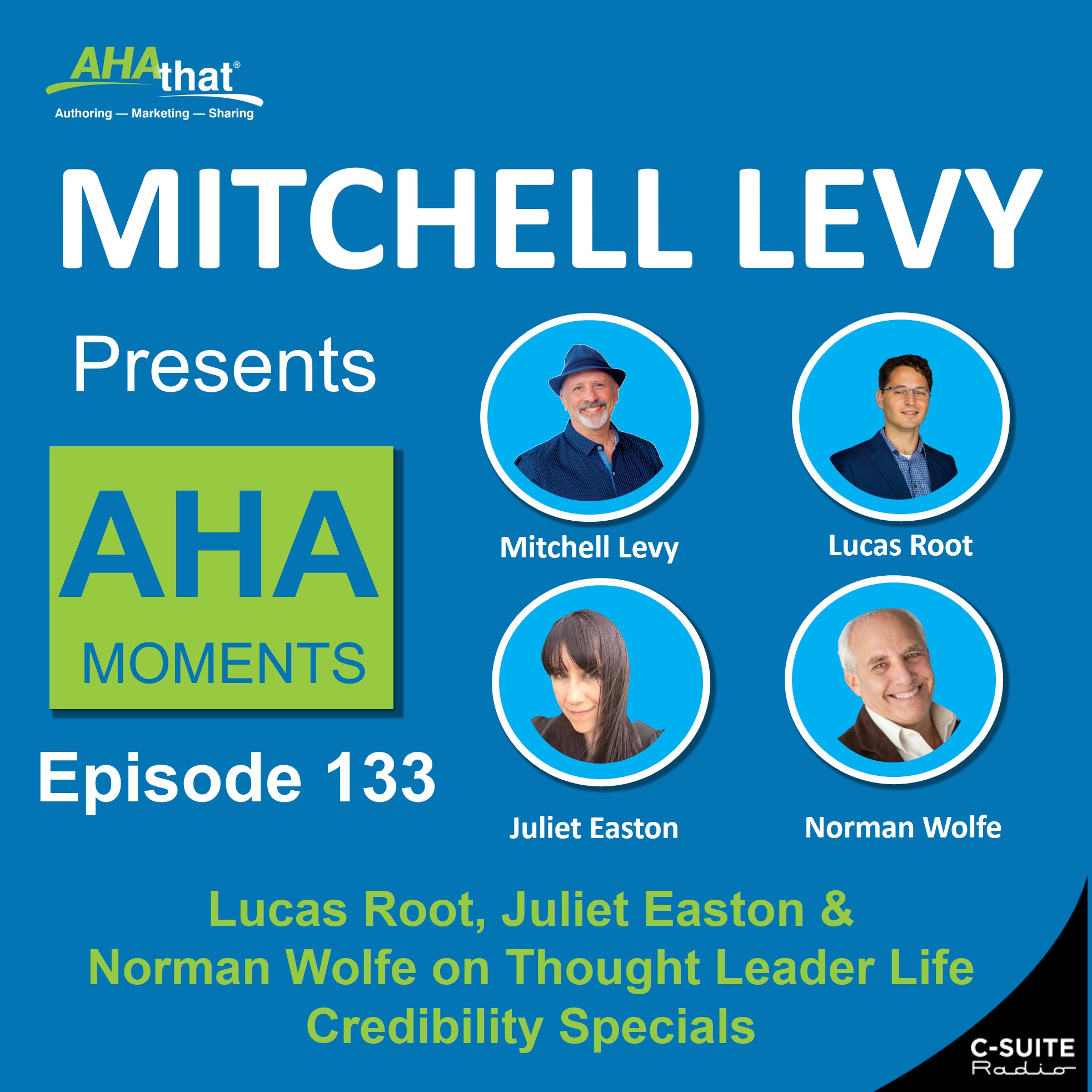Mitchell Levy Presents AHA Moments