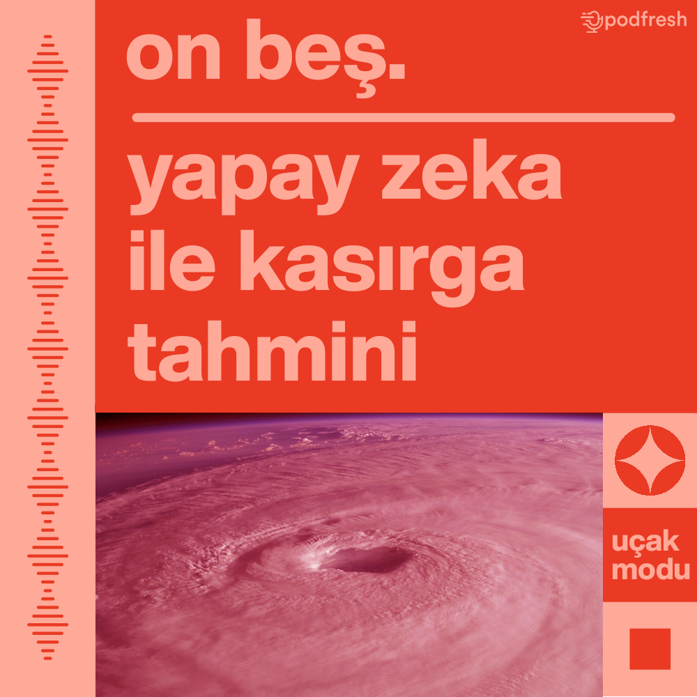 Yapay Zeka ile Kasırga Tahmini #15