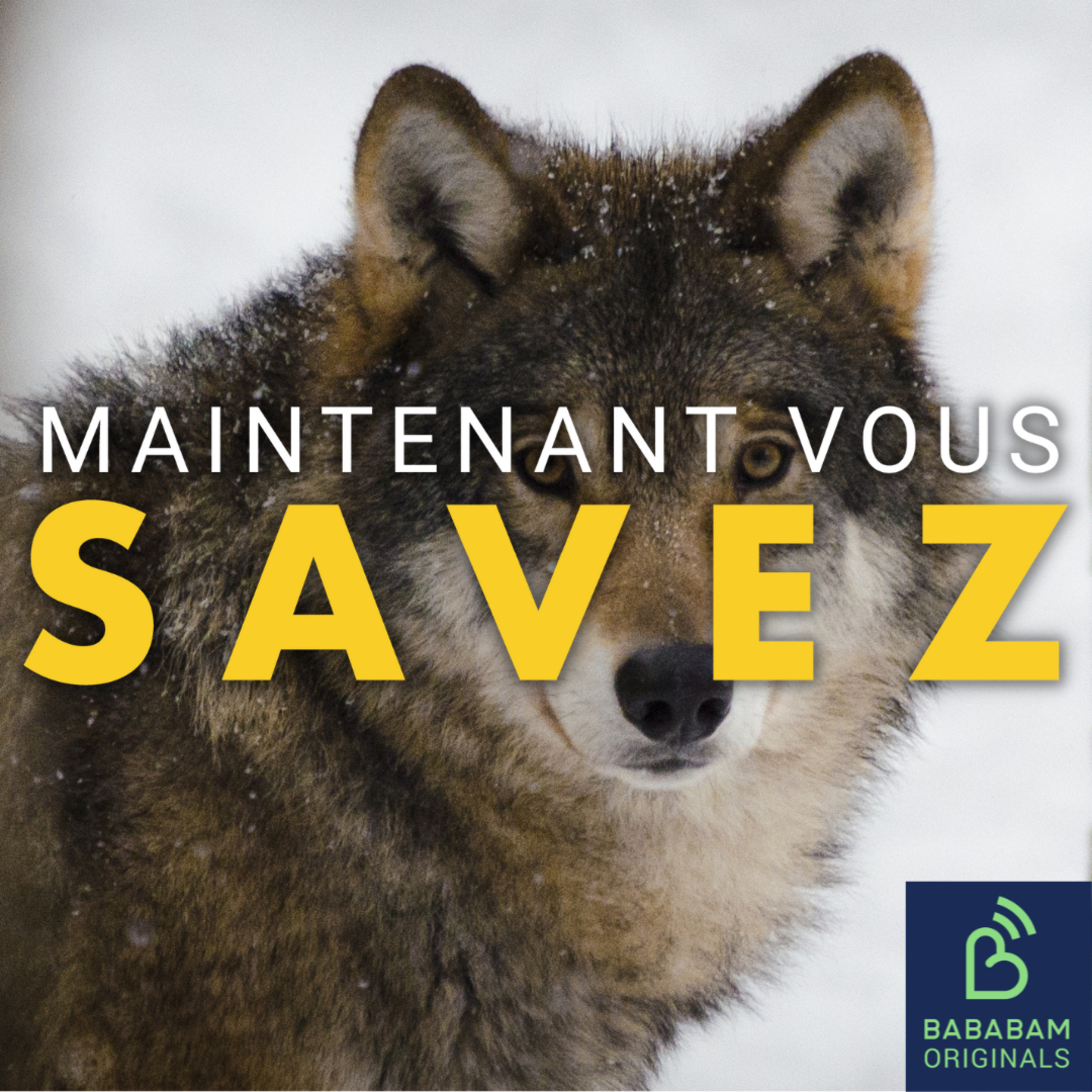 Pourquoi ne mange-t-on pas d’animaux carnivores ? episode artwork