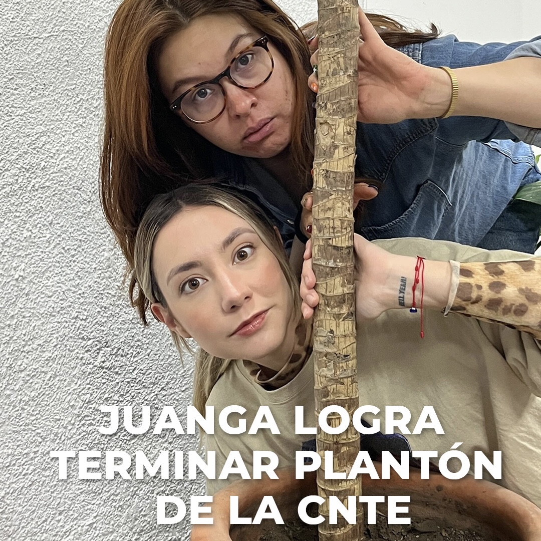 #ChingoDeJuanGa con Ando y Grecia: el concierto de Juan Gabriel en Bellas Artes, el significado del ‘Noa-Noa’ y más. episode artwork