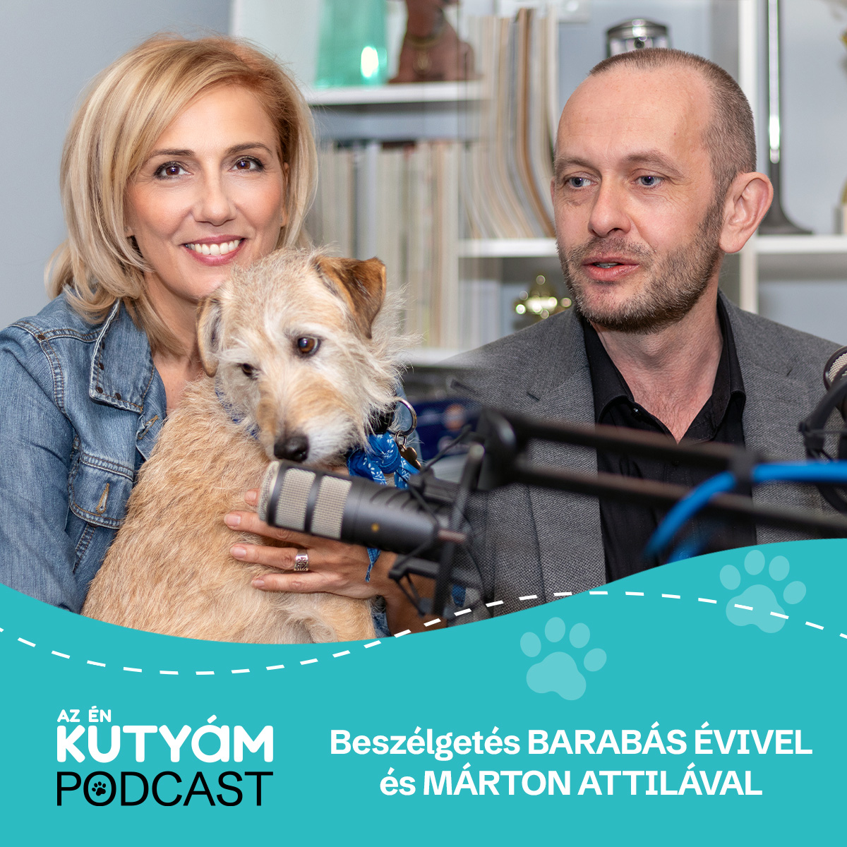 Nem méregzsák, csak stresszes! – Barabás Évivel és Márton Attilával beszélgettünk