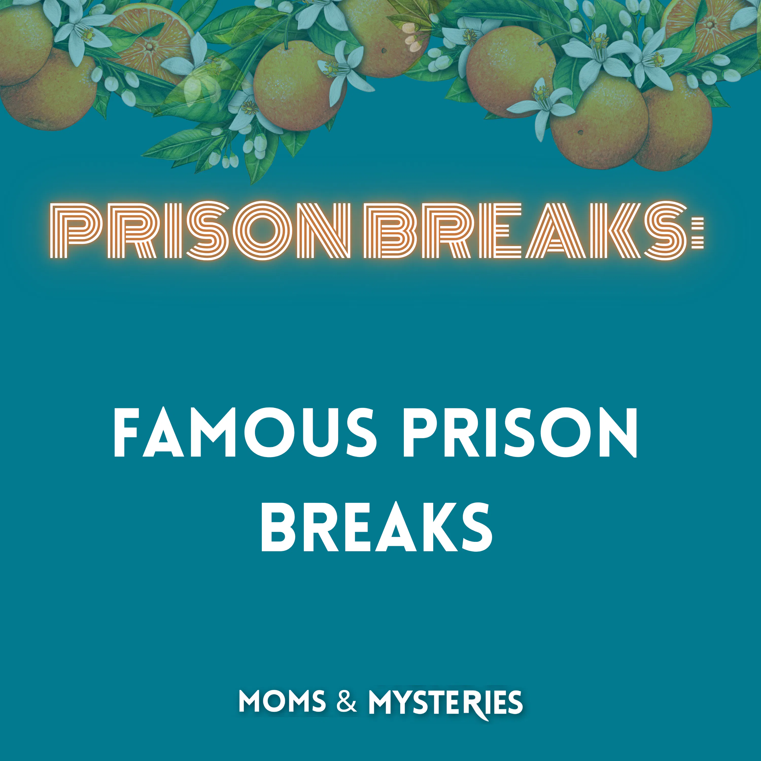 Jailbreak: The Hole Behind the Toilet