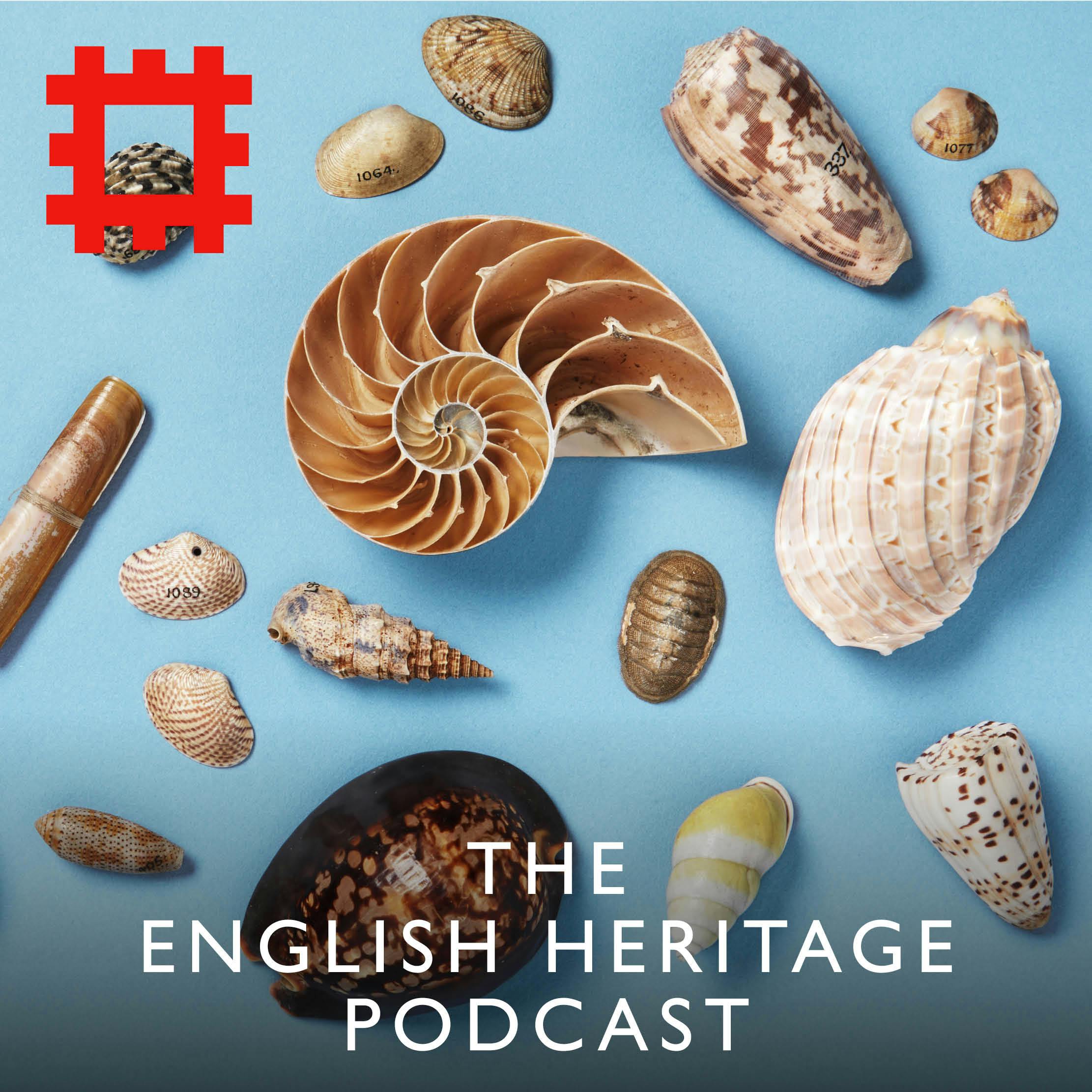 Episode 259 - Long lost shells returned: from Captain Cook’s voyage to Chesters Roman Fort (via a skip)