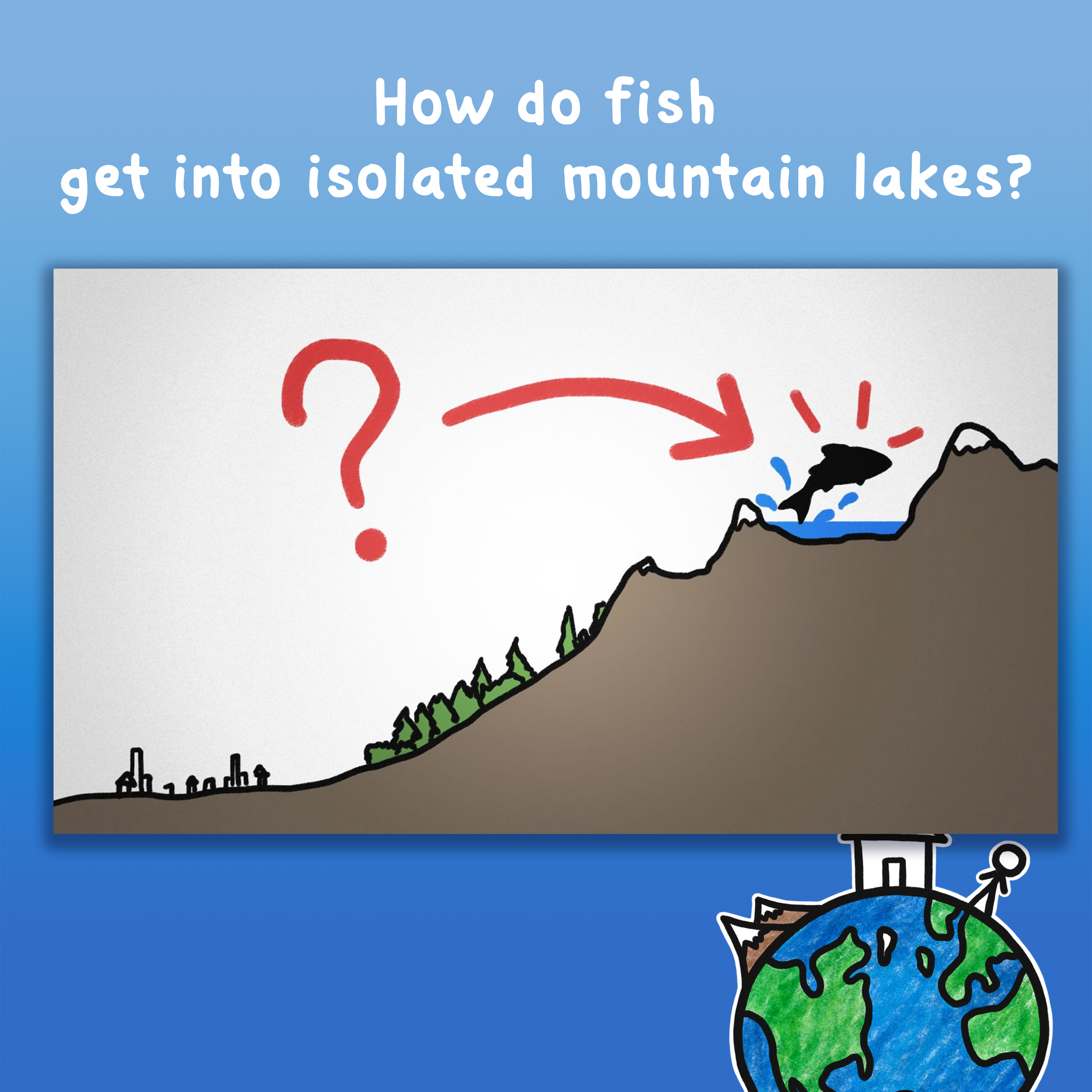 How do fish get into isolated mountain lakes?