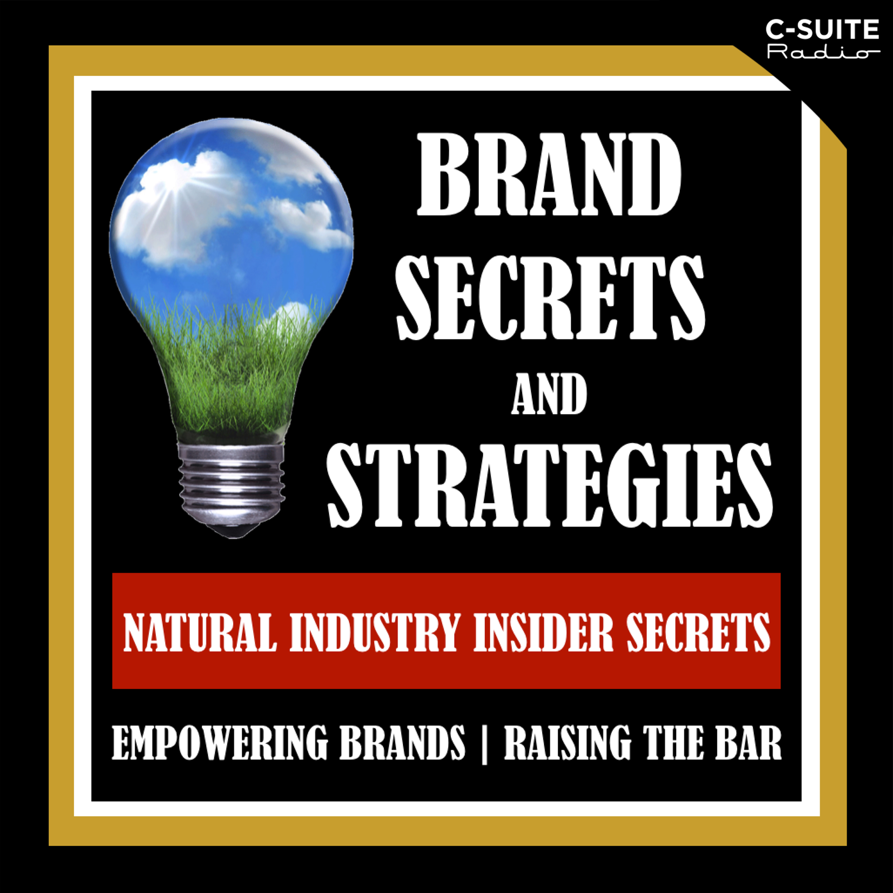 BRAND SECRETS AND STRATEGIES: Empowering Brands | Raising The Bar