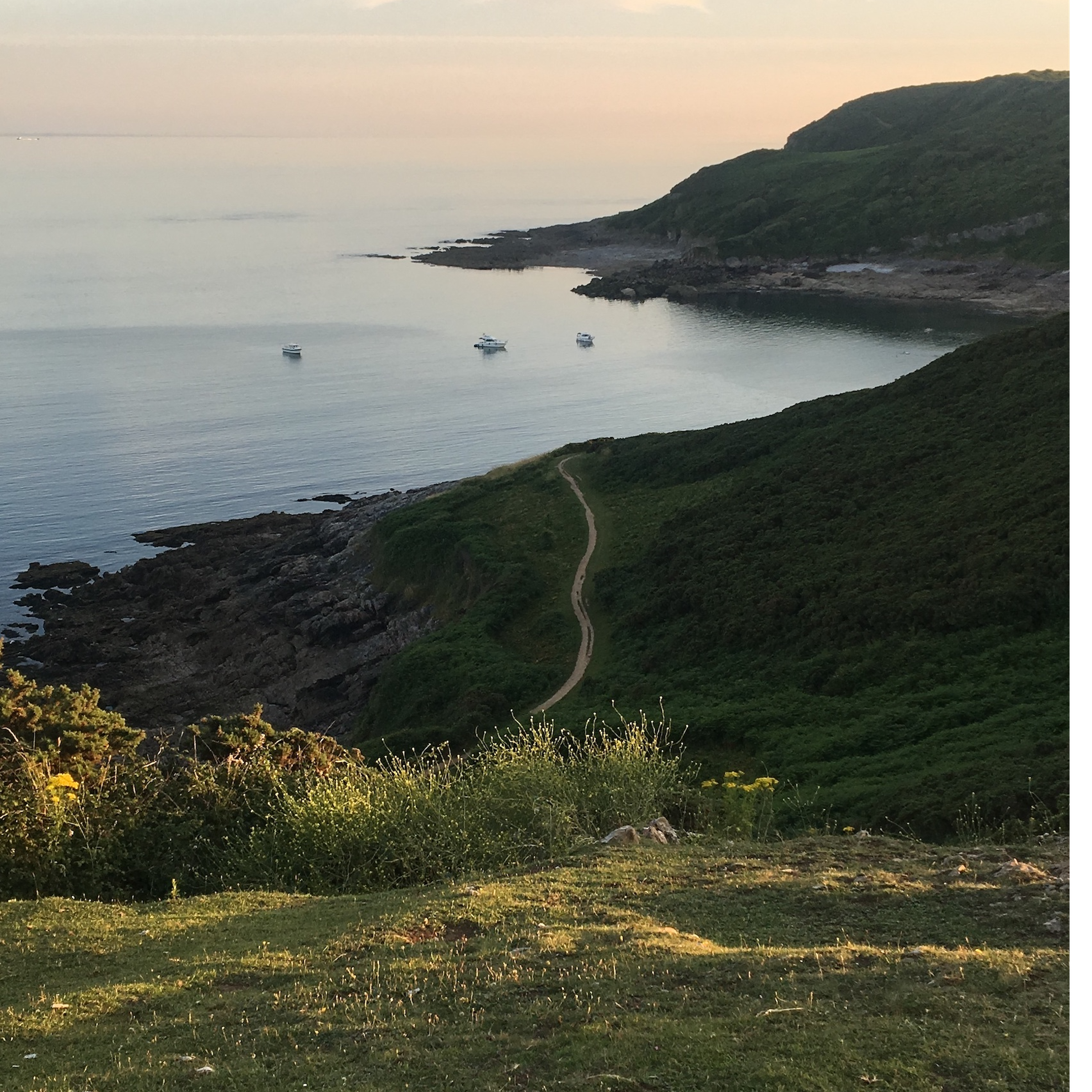 Sound Escape 29: relax on a Gower headland while gulls call above and a tractor gathers hay