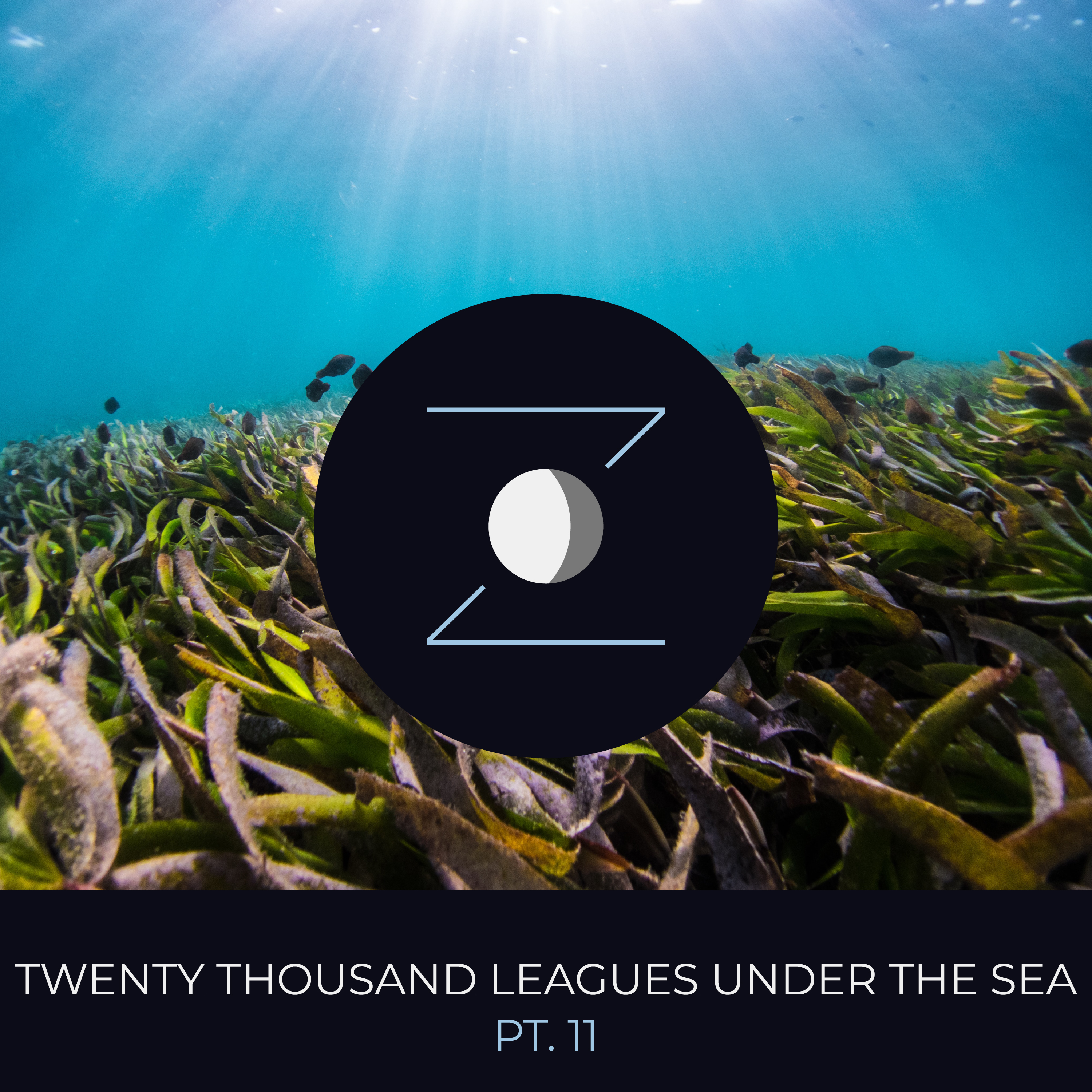 Twenty Thousand Leagues Under the Sea pt. 11 episode artwork