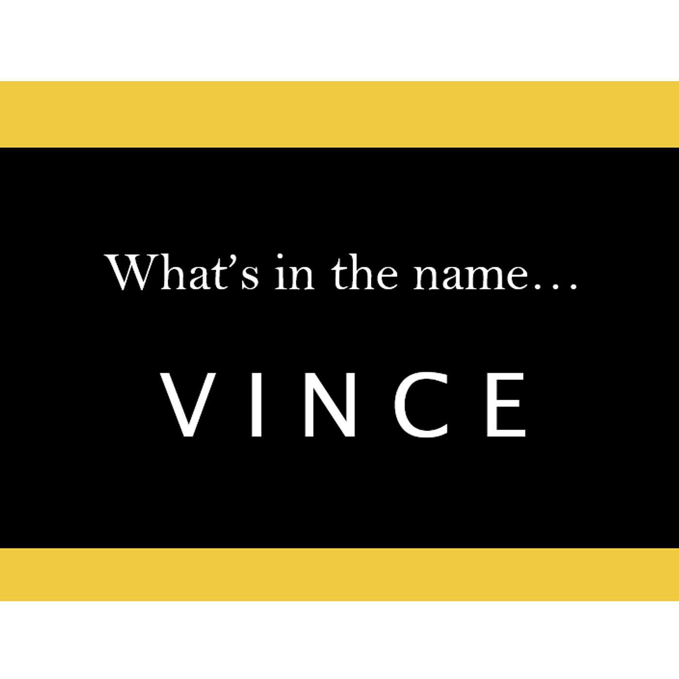 S4.24-101 - What's in a Name... "Vince" episode artwork