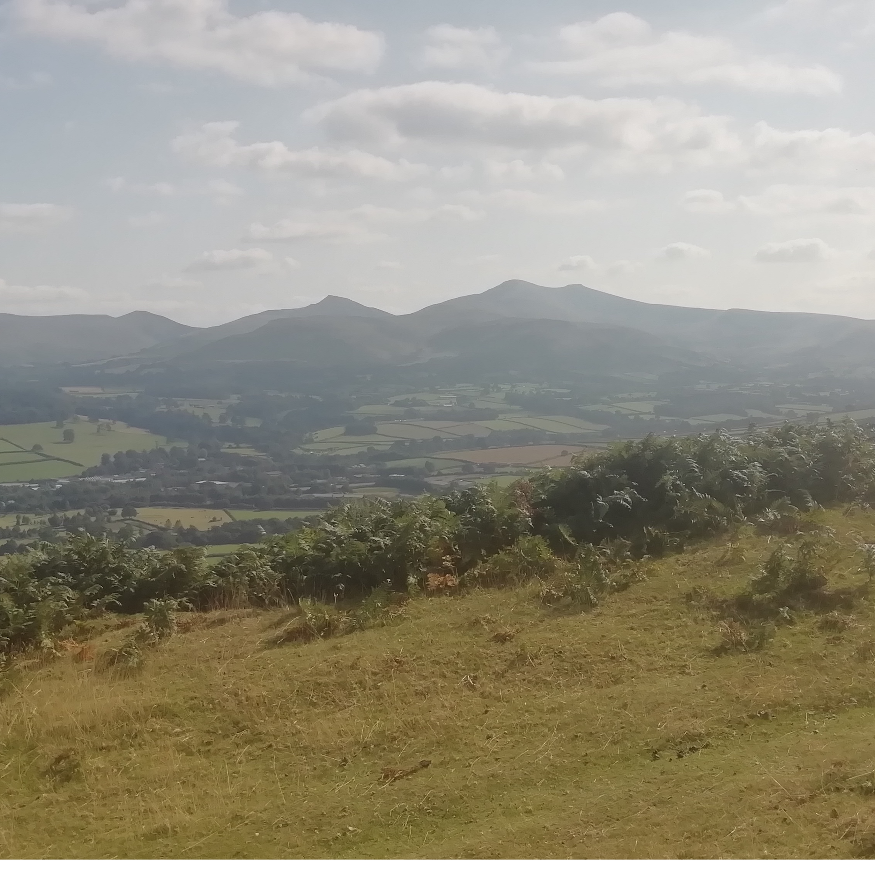 Sound Escape 28: unwind to late summer swallows above an Iron-Age hillfort in the Brecon Beacons