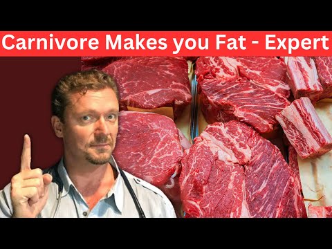 Carnivore Diet causes Belly Fat - Real Expert(s) Reveal… episode artwork