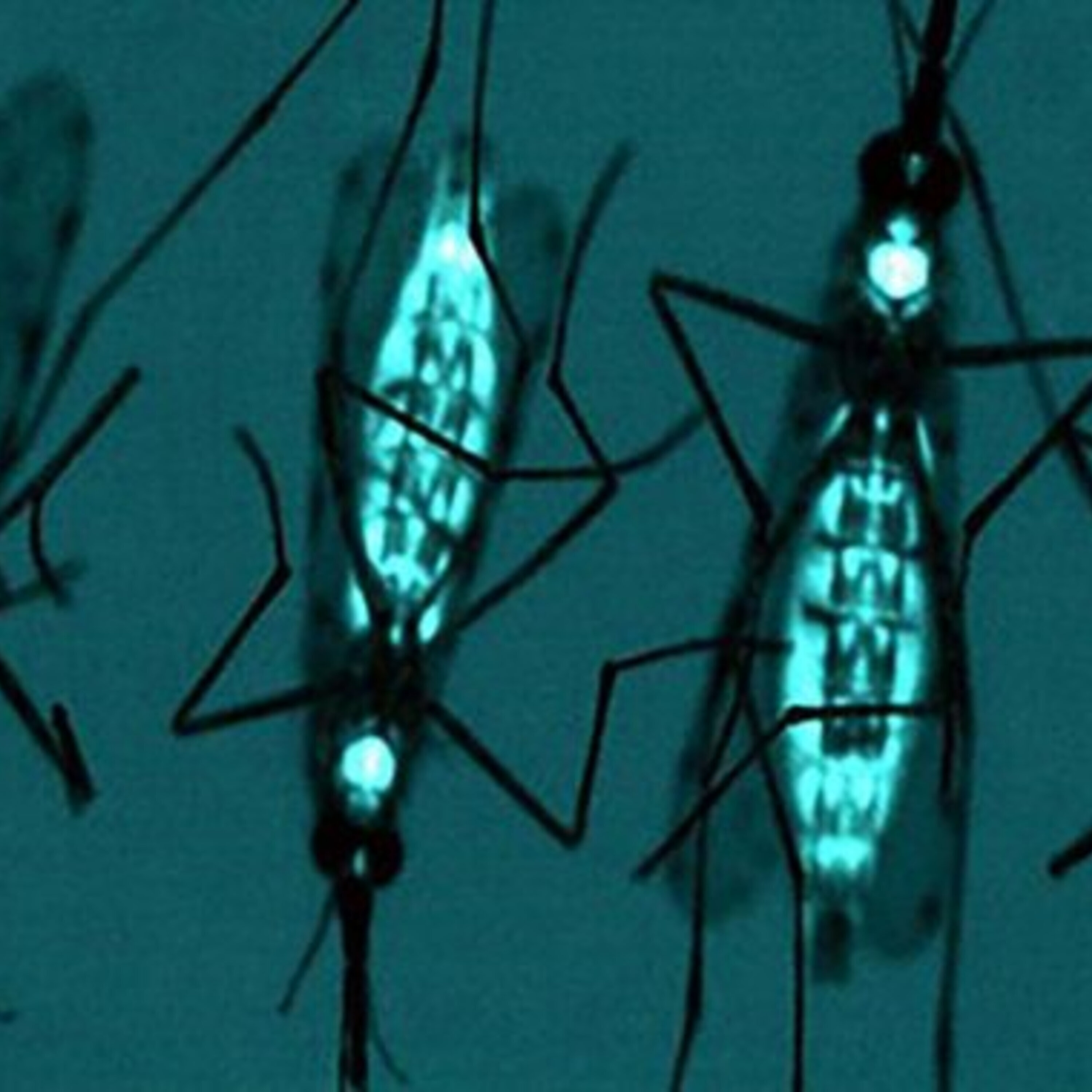 Can  "big data" from mobile phones pinpoint pockets of poverty? And a news roundup