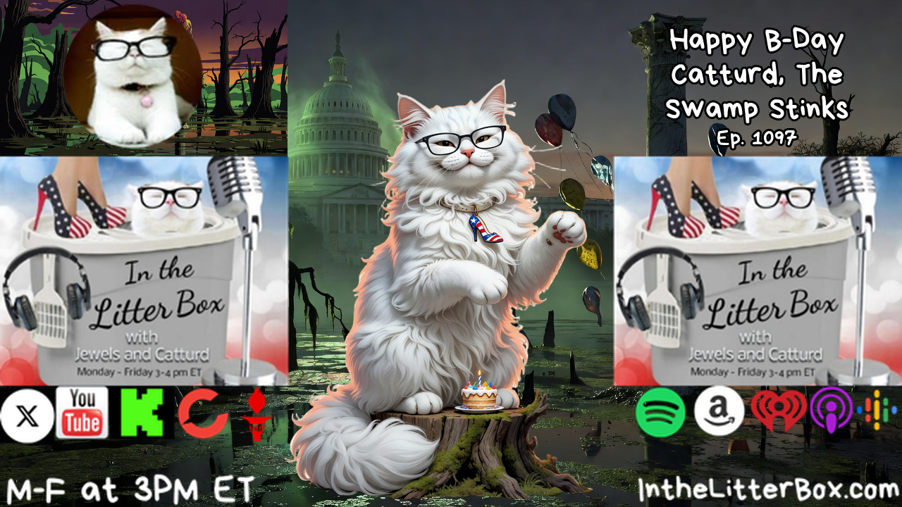 Happy B-Day Catturd, The Swamp Stinks | In the Litter Box w/ Jewels & Catturd – Ep. 1097 – 9/18/2026