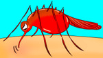If Mosquitos Bite You More Than Others, Here's Why episode artwork