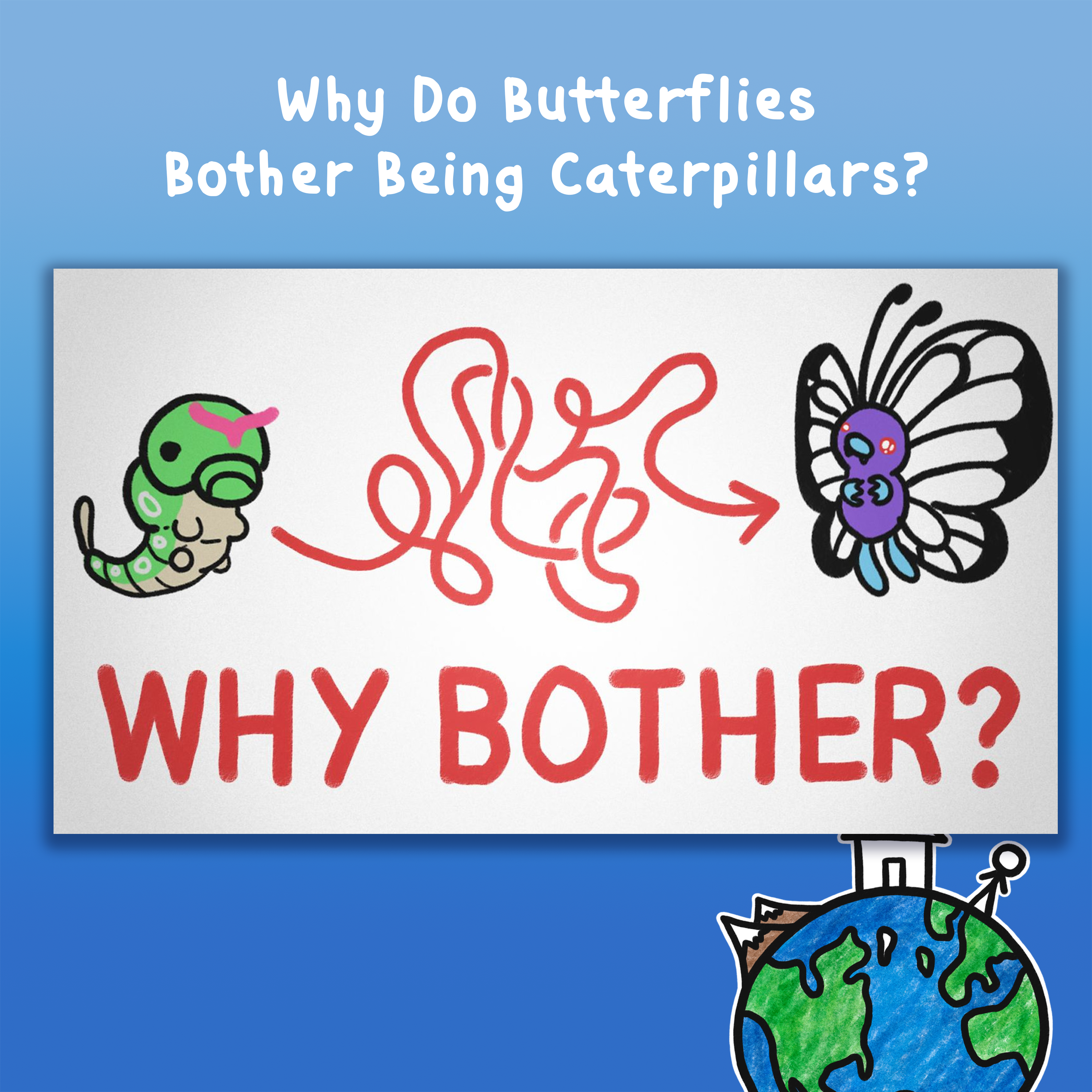 Why Do Butterflies Bother Being Caterpillars?