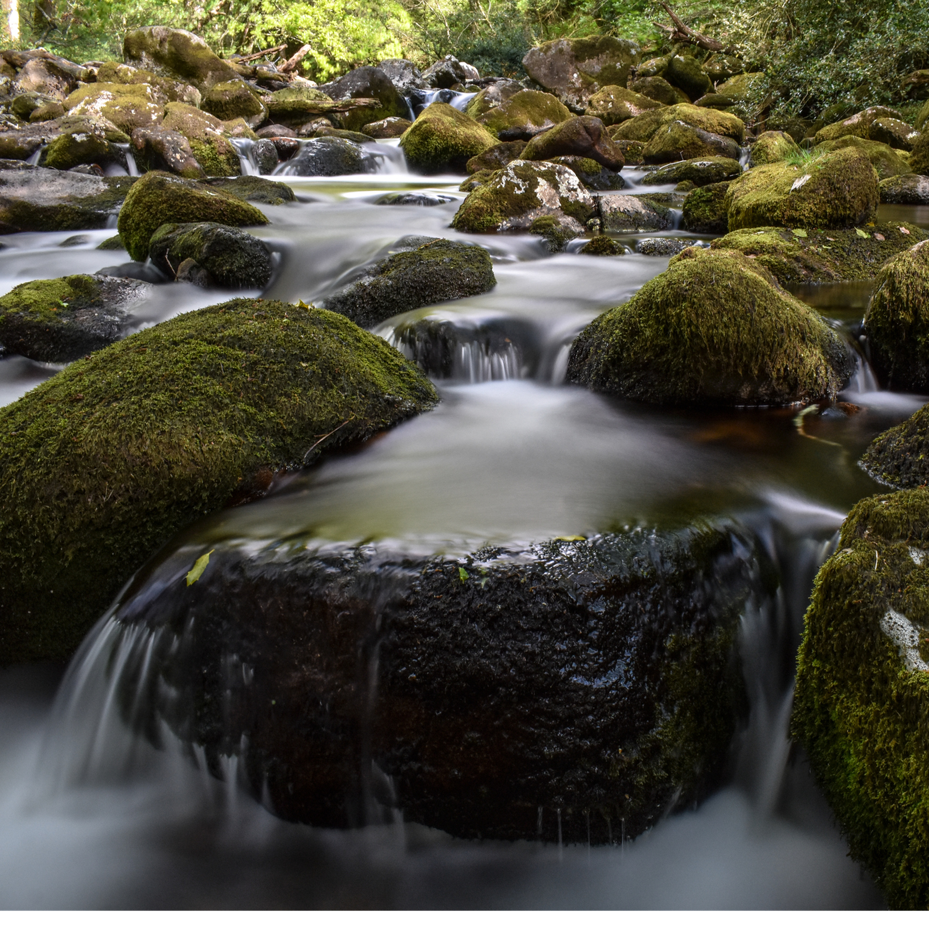 Sound Escape 25: be charmed by the gentle babble of a farmland stream