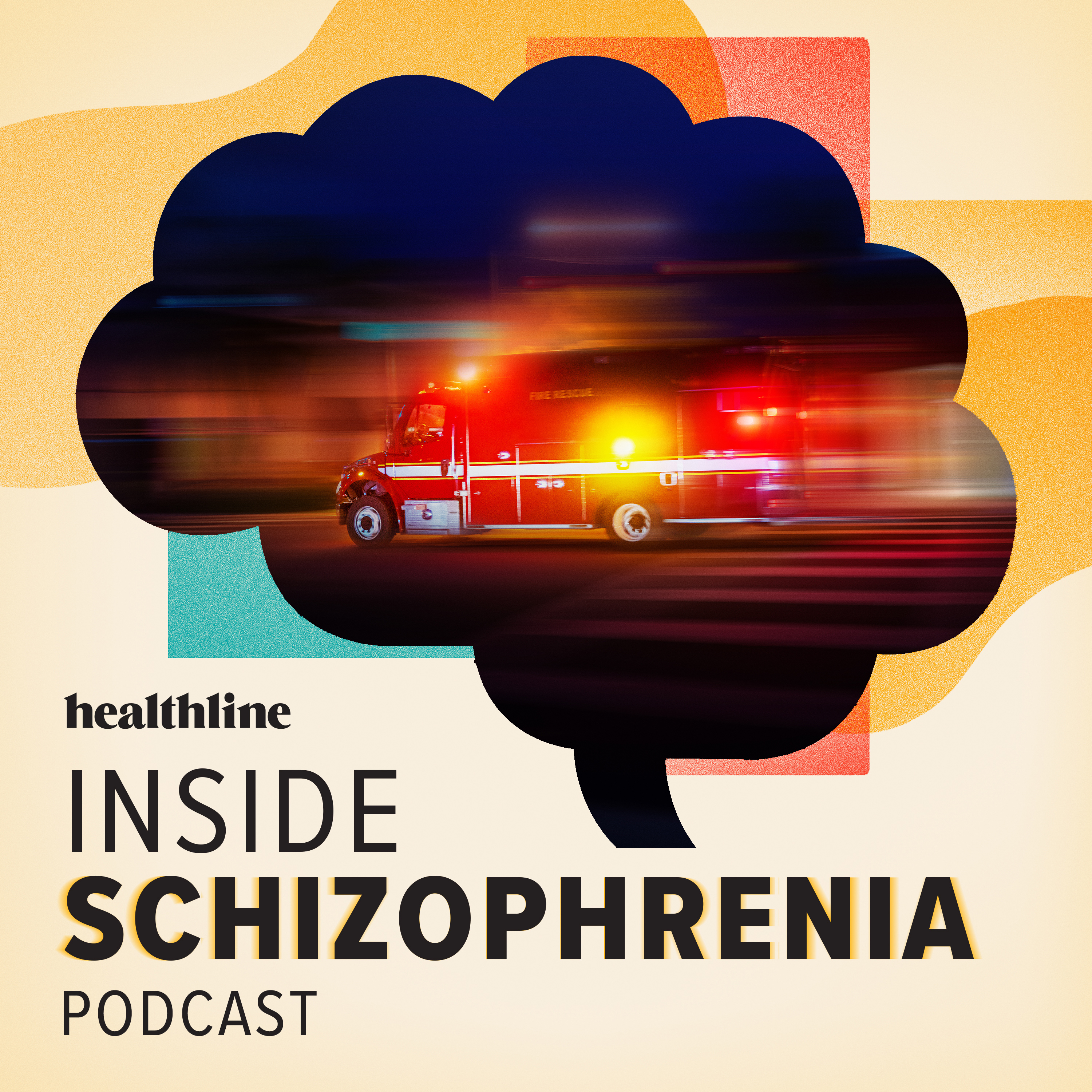 Crisis in Schizophrenia: What to Do First episode artwork