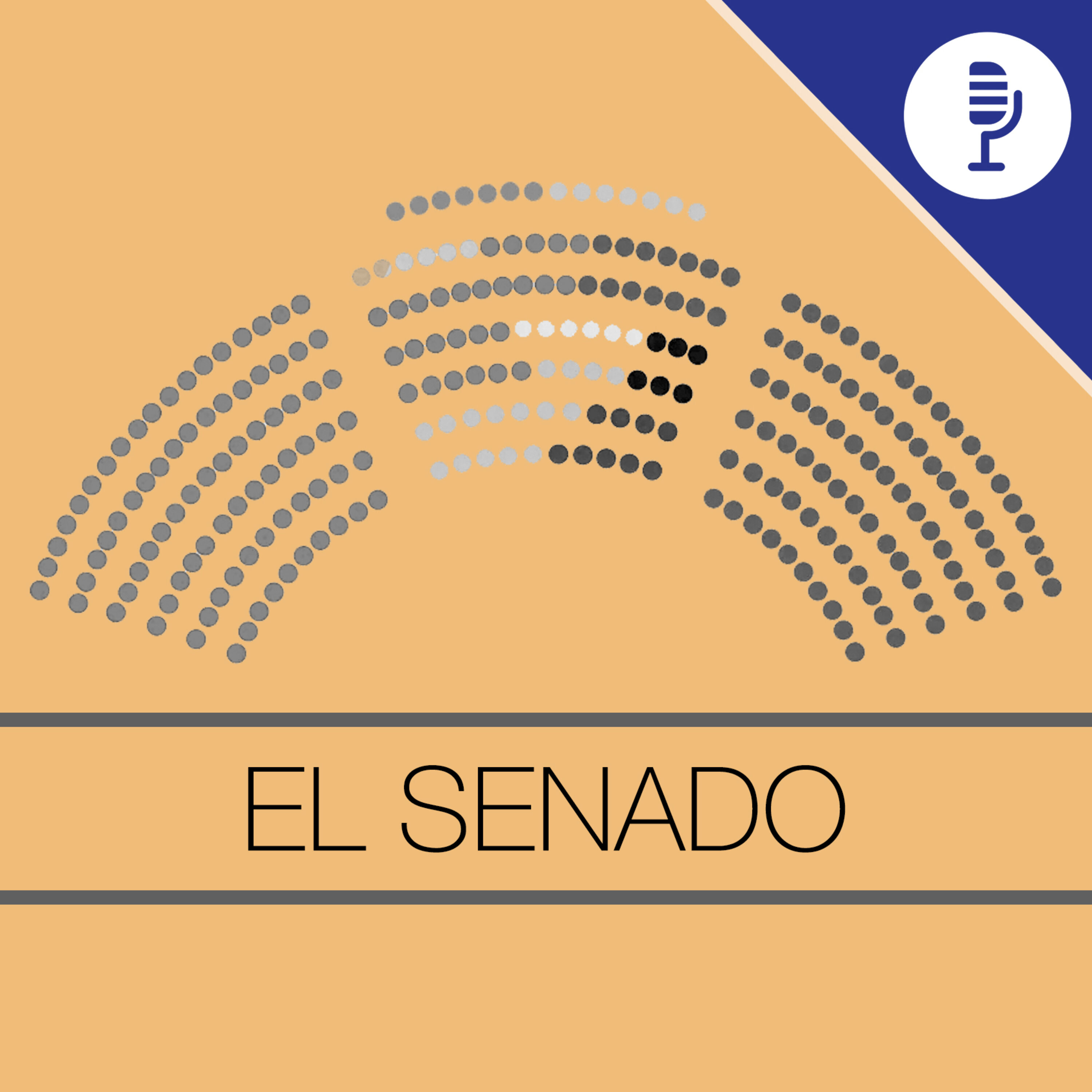 El Senado de AP con Rafa Mas y la polémica de si el 24 debe ser un festivo autonómico episode artwork