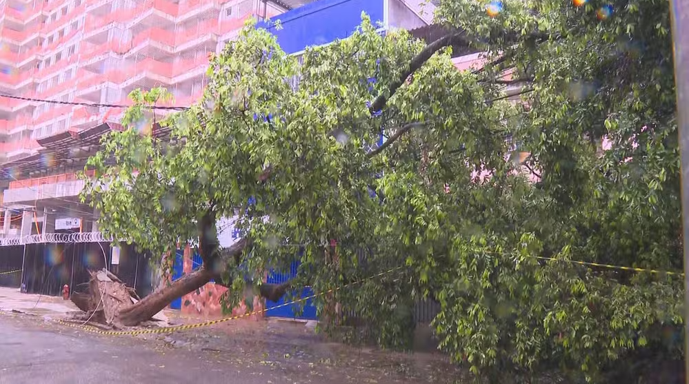 ‘Ao ouvir o toque das sirenes saia imediatamente’, orienta porta-voz do Corpo de Bombeiros do RJ