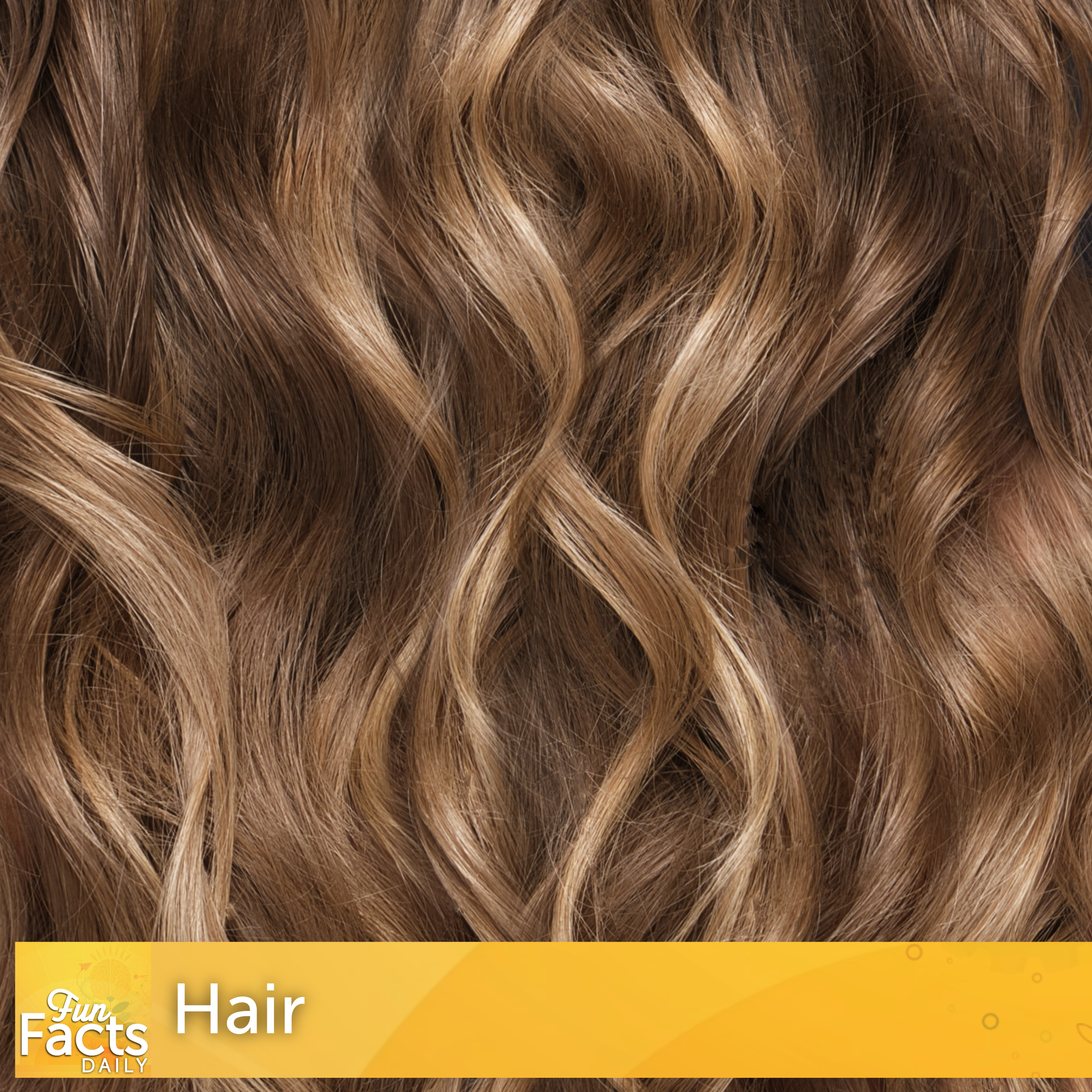 Fun Facts About Your Hair