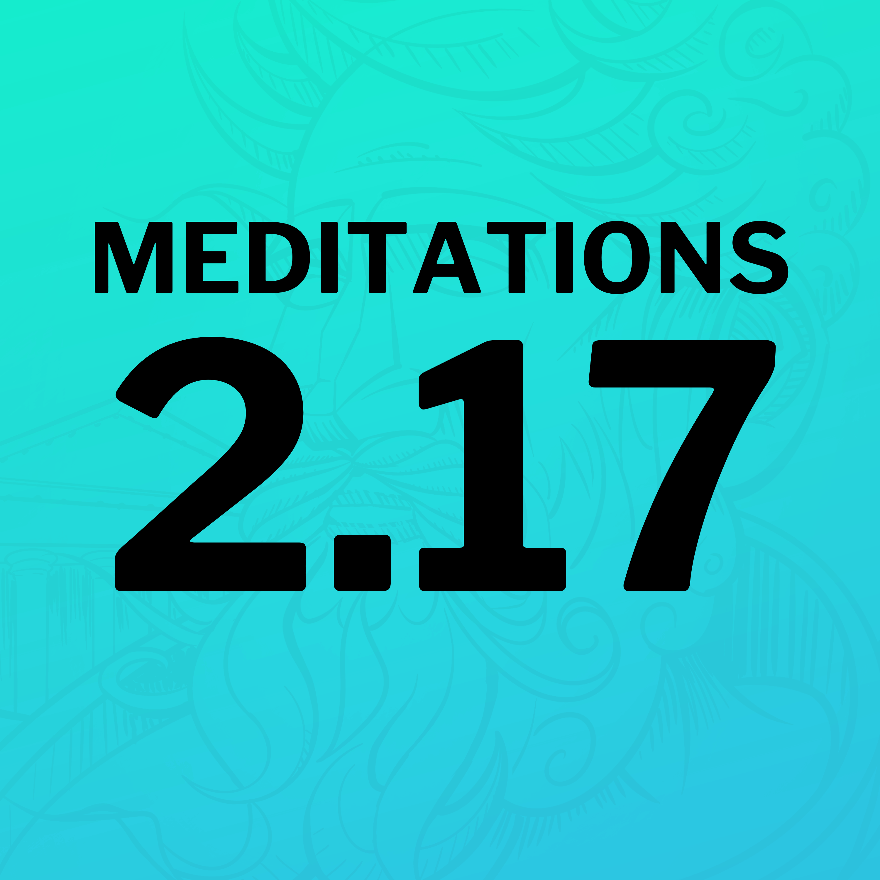 Why Philosophy Is the Only True Guide Through Life (Meditations 2.17)