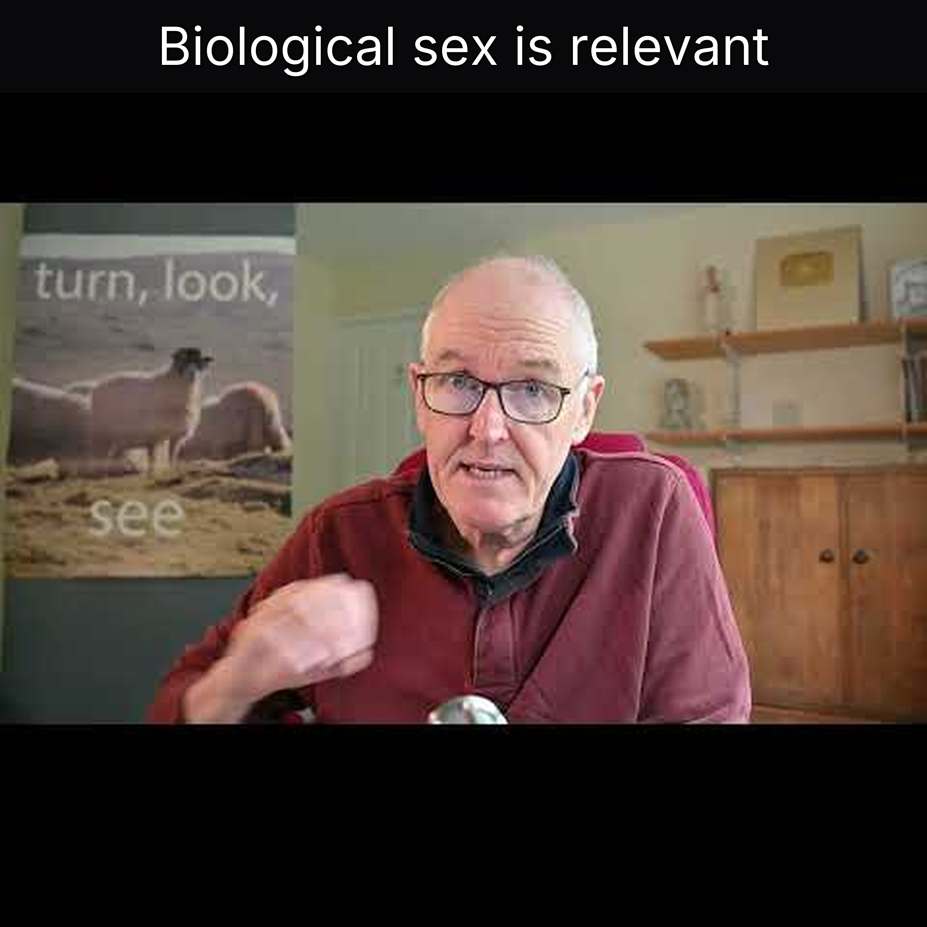 Biological sex is relevant episode artwork