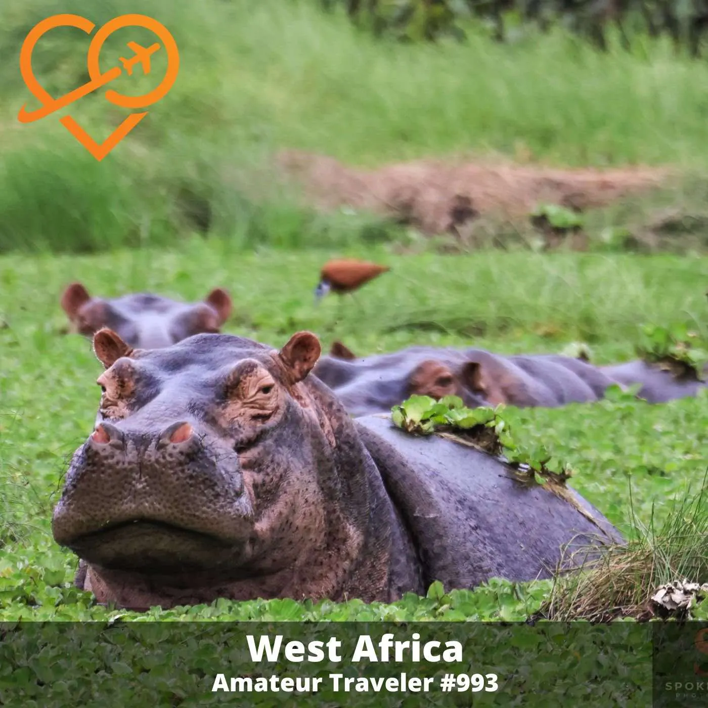 AT#993 - Travel to West Africa (Senegal, The Gambia, Guinea-Bissau) episode artwork